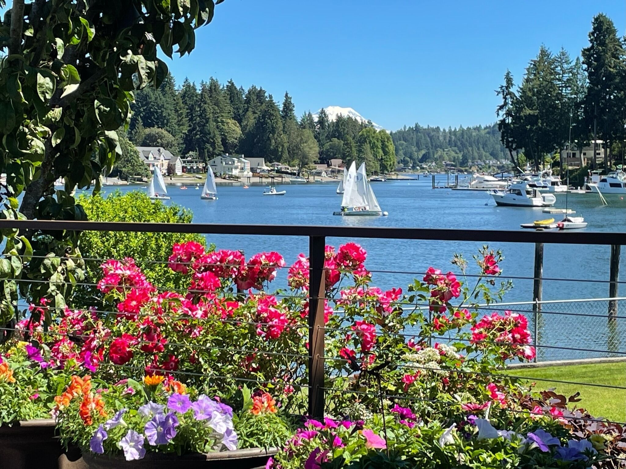 Coastal Studio with PNW Waterfront Views!