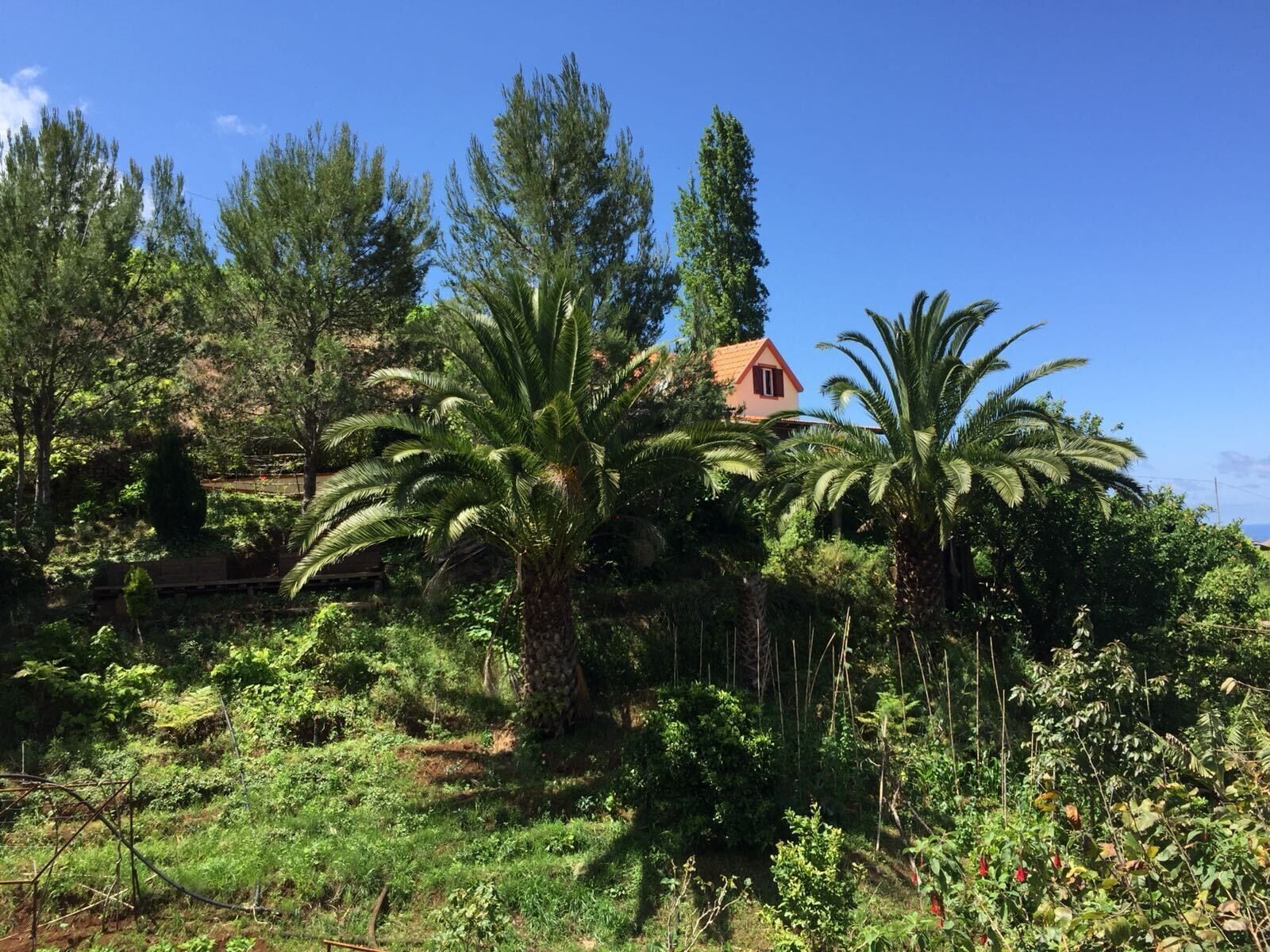 Casa d´Olívia - Levada do Castelejo, rustic house that accommodates 2-5 people 