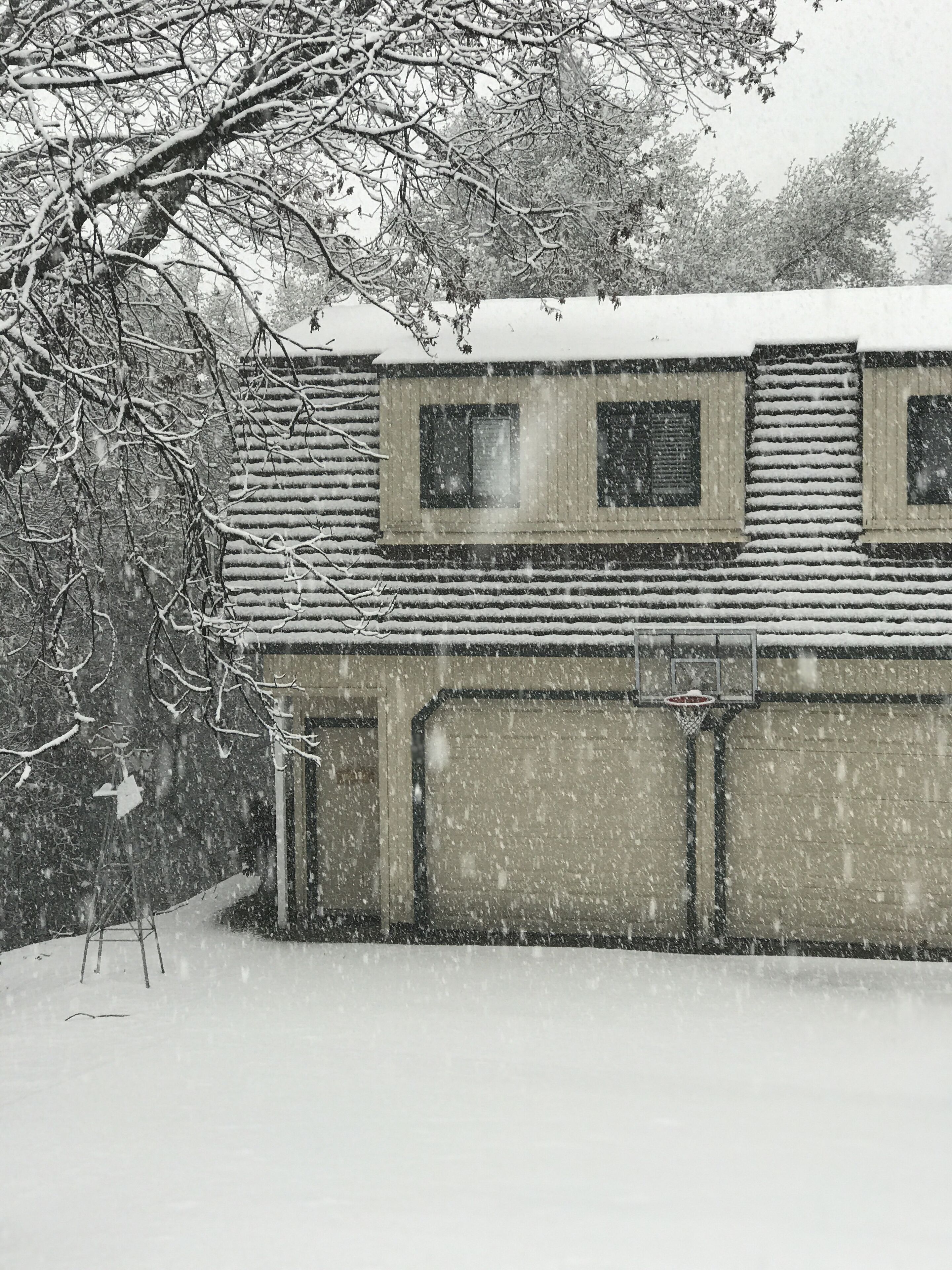 Wooded Retreat, Welcome to the Woods! Fun, Games! Destress,Quiet Private Setting