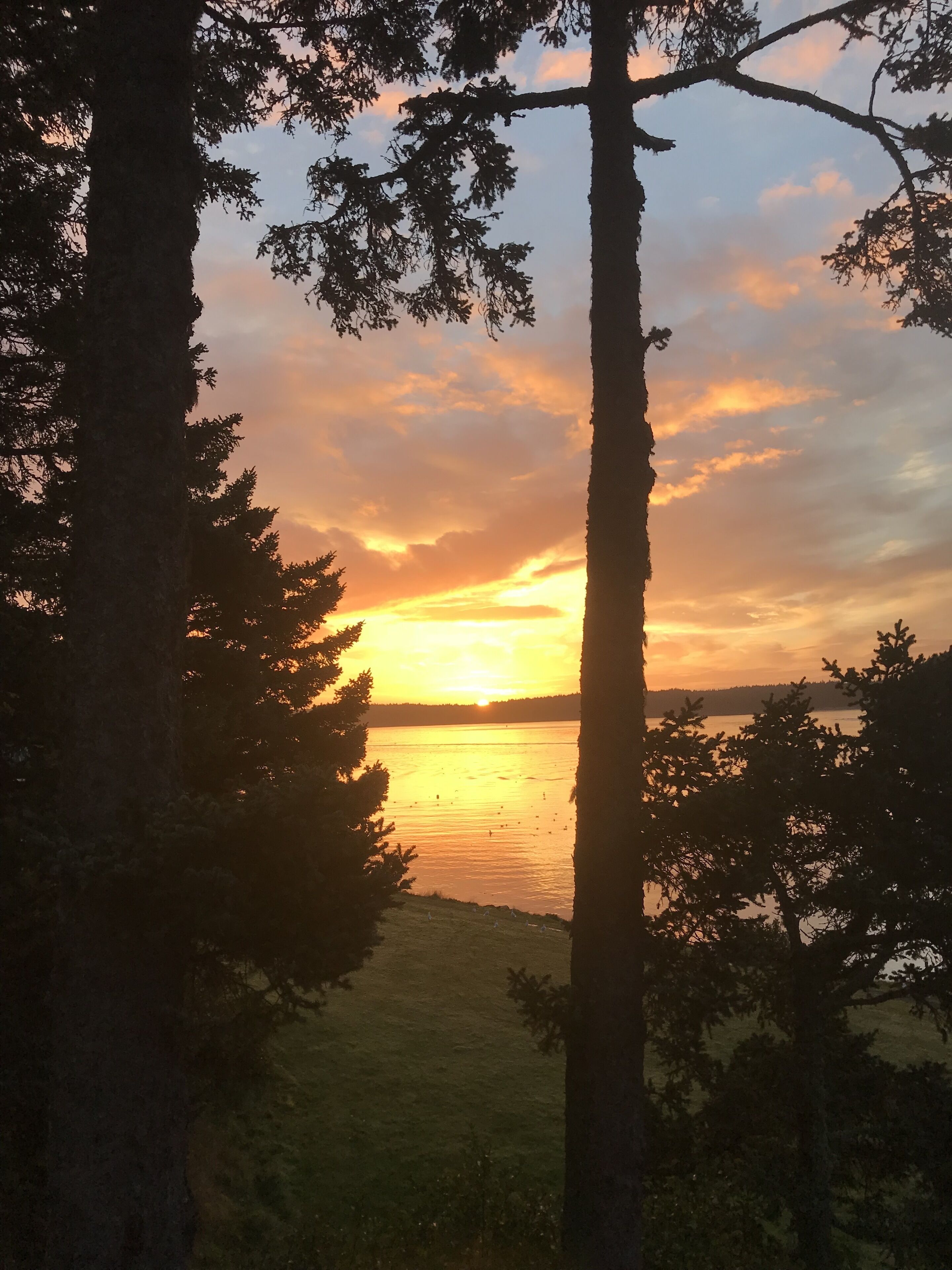 Awesome view of vacation rentals: Mermaid Lair