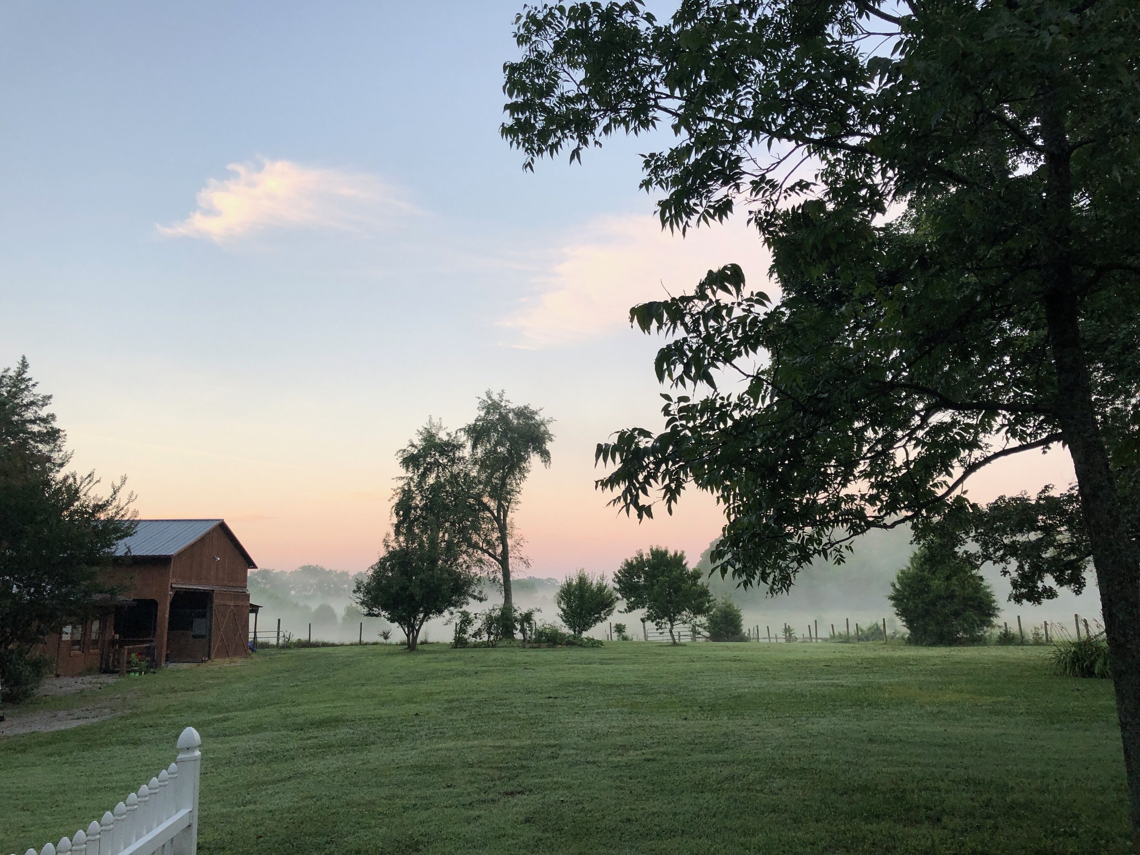 Cowboy guest house on the farm -bring your dog ! Work from here.