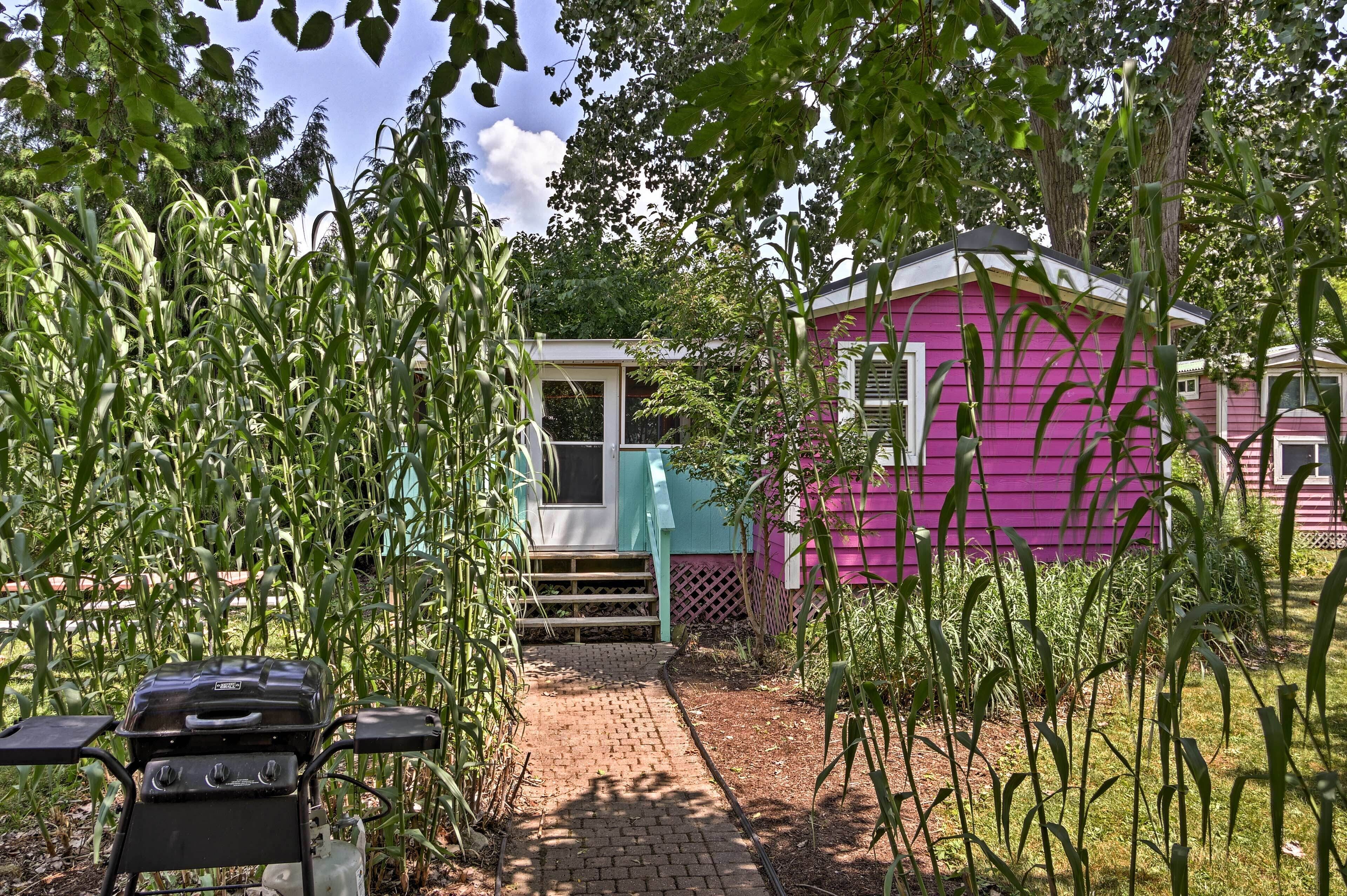 Cozy Middle Bass Cabin w/ Grill & Lagoon Access!