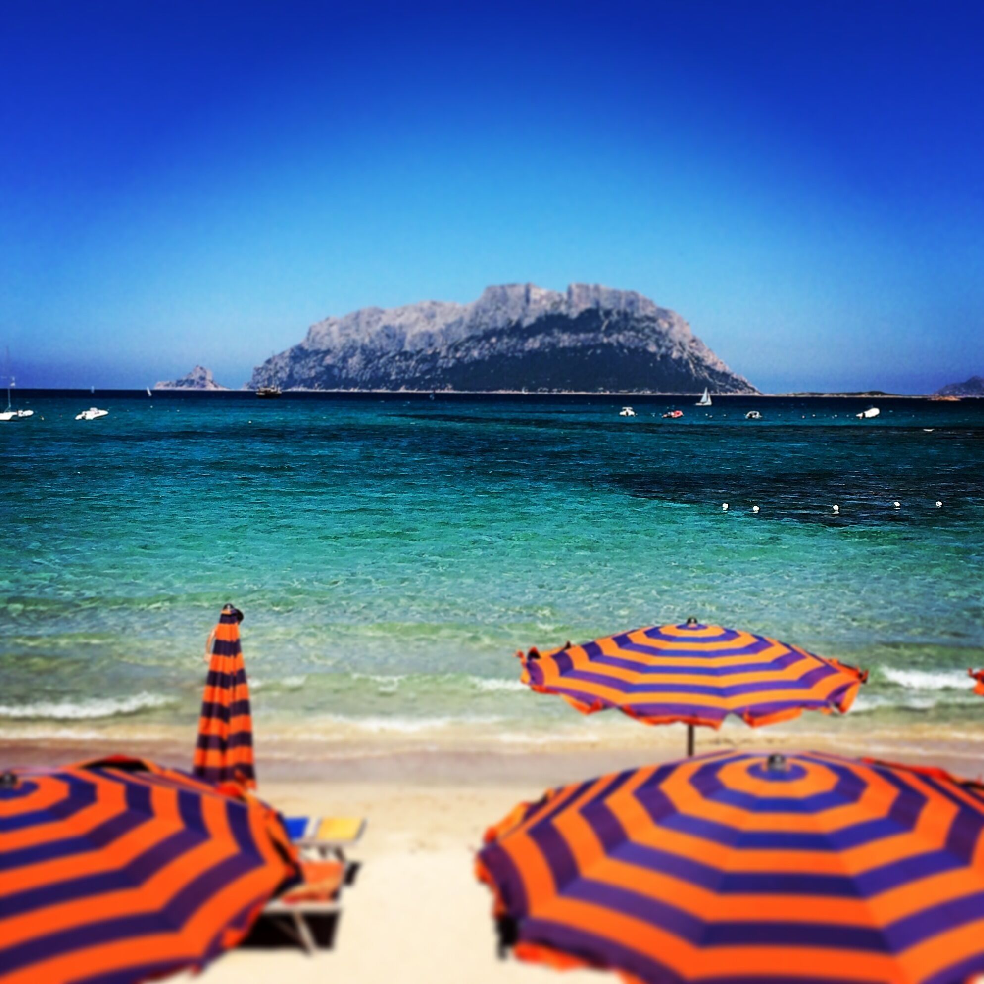 Beautiful bay of white sand and clear sea opposite the island Tavolara
