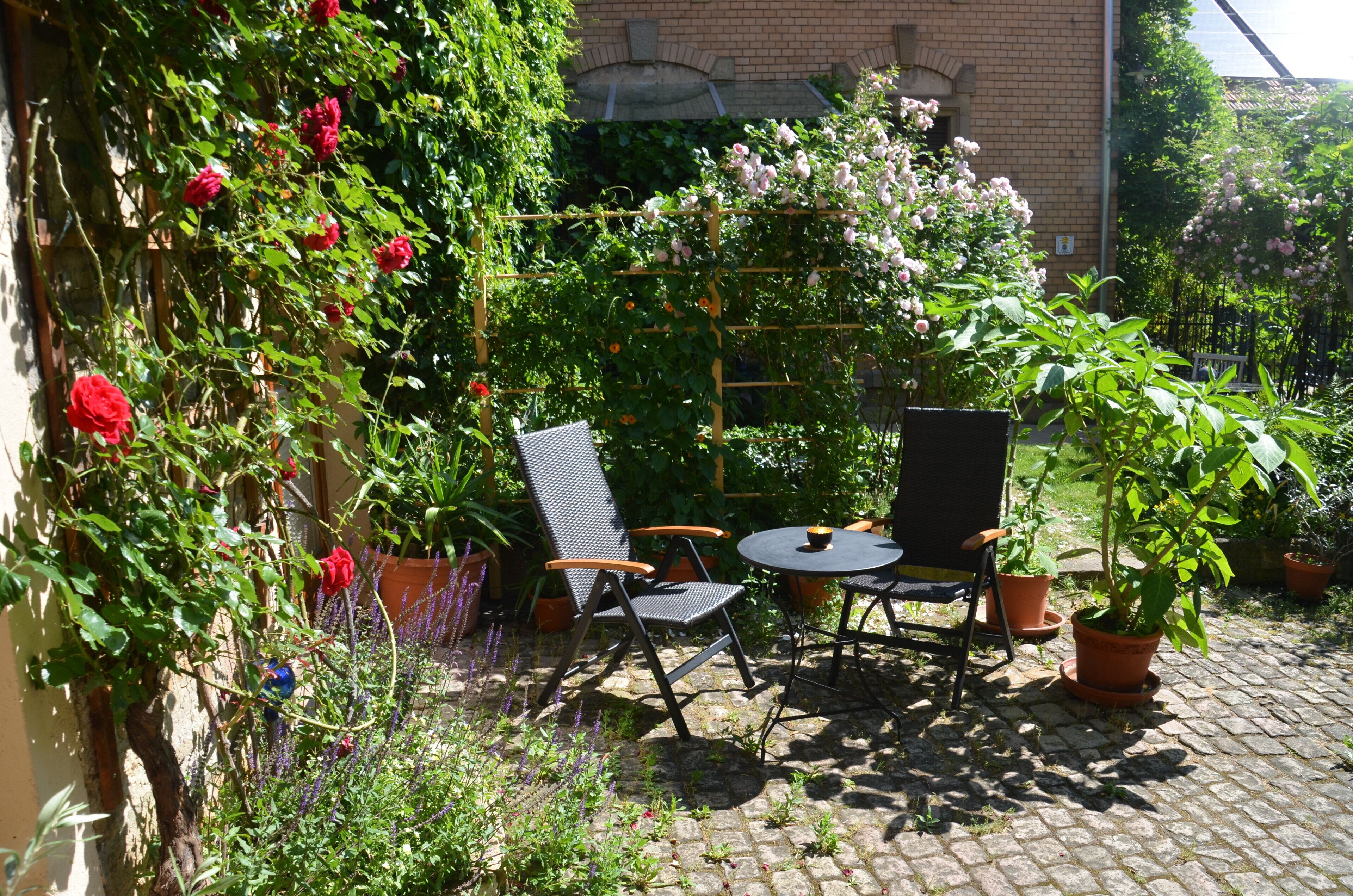 Living in the former Mediterranean winegrower's homestead