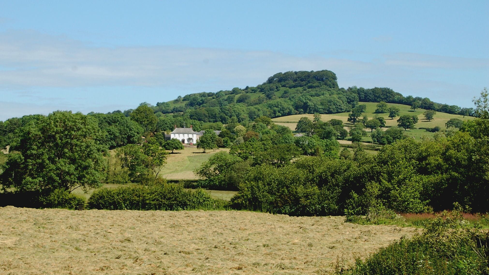 Orchard Barn nr Honiton with 200 acres of parkland & ancient woodland  