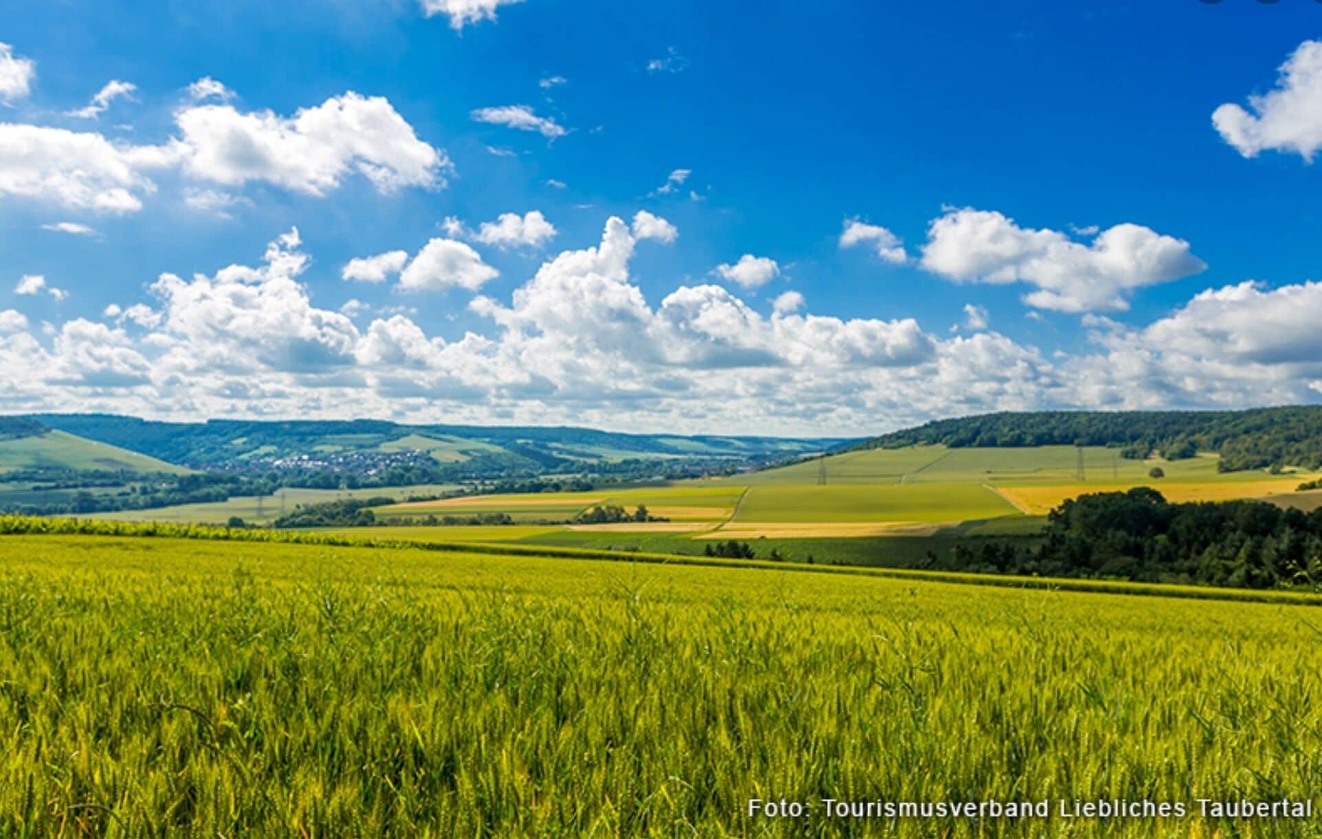 Comfortable apartment with terrace + W-Lan, child and pet friendly. 