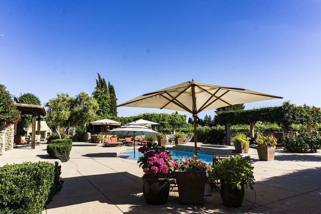 Vineysrd Poolside King Studio with Private Entrance 