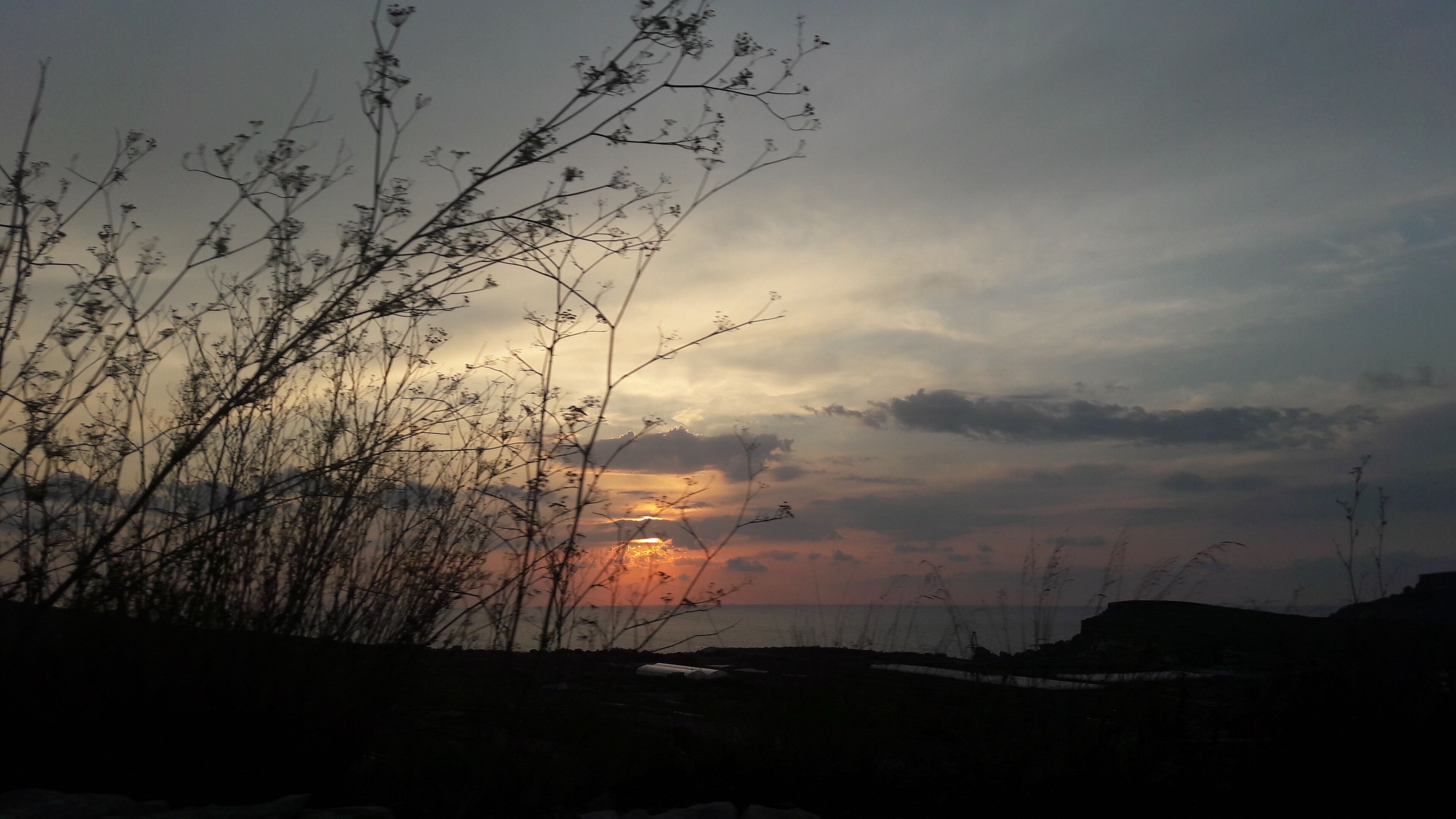 Country View Apartment next to the Beach