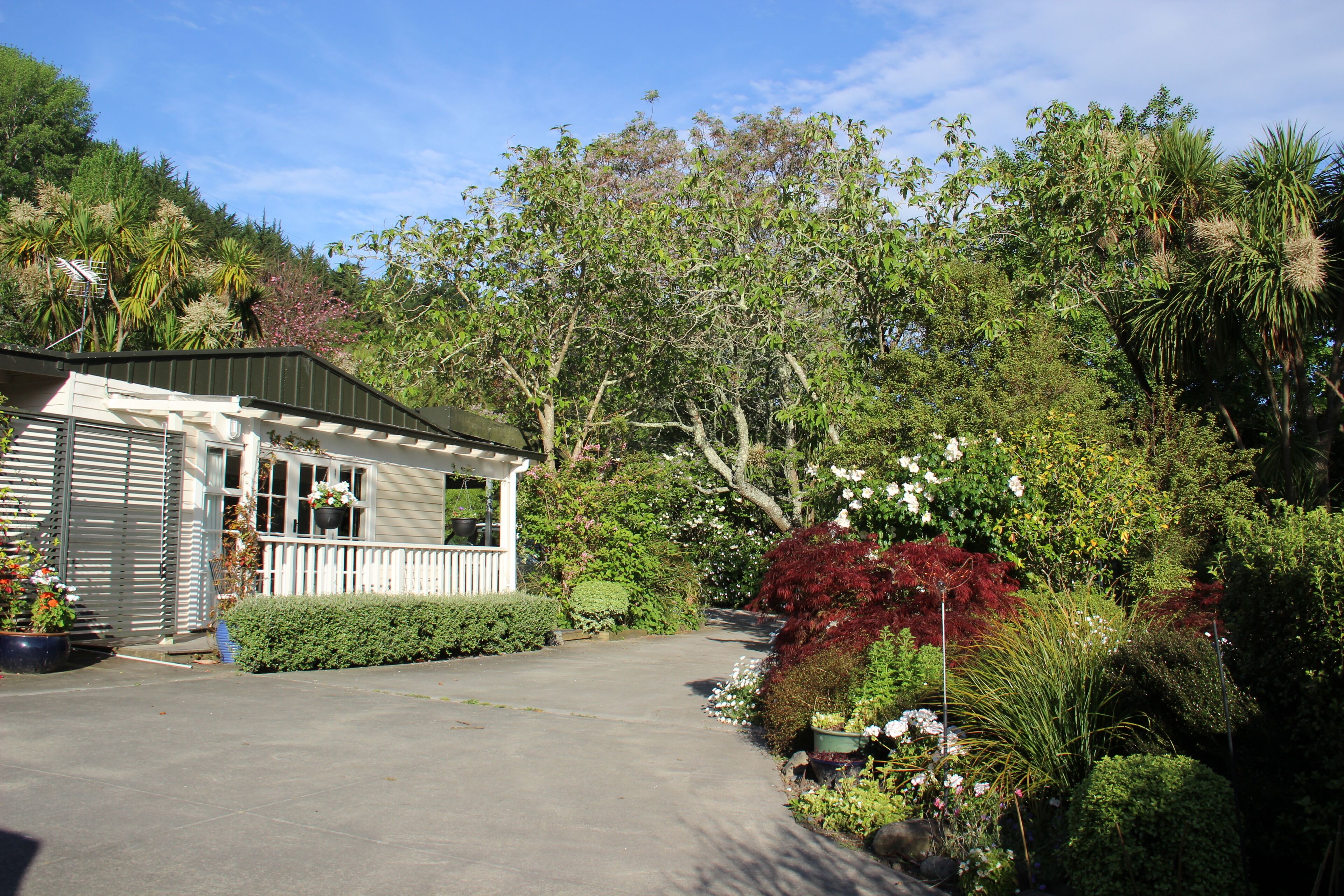 Gisborne guest house/cottage with a rural setting