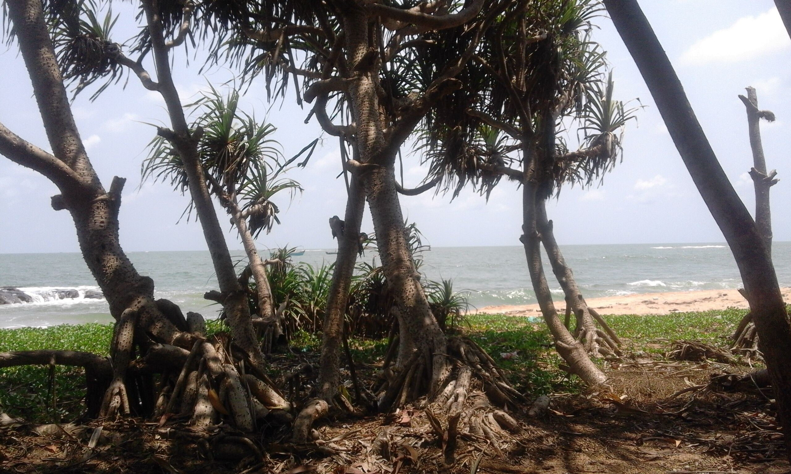 ‘SAI DHAM’ Beach House  Bungalow for Rent in Gujjadi