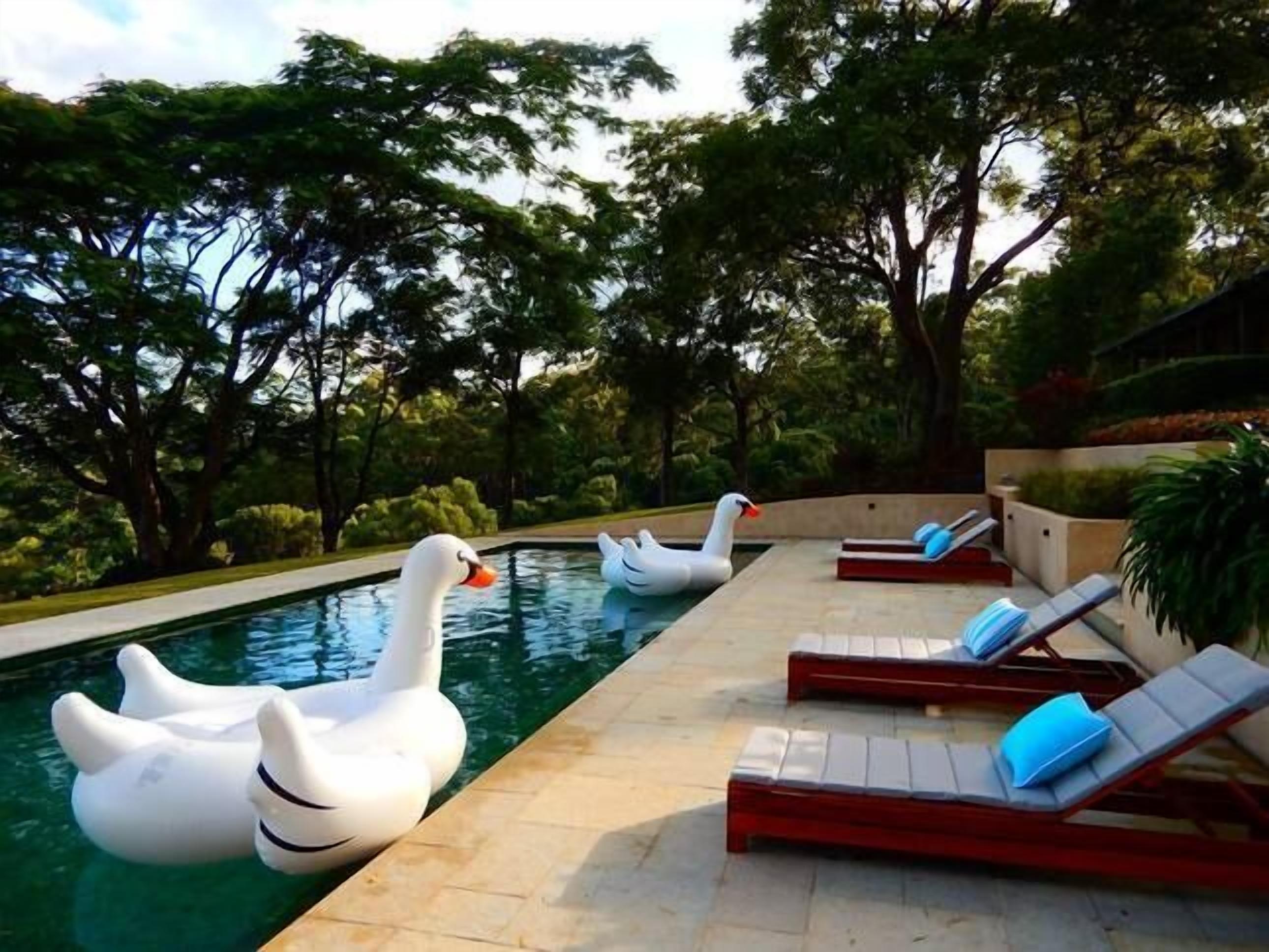 Byron Hinterland Retreat - Honeymoon