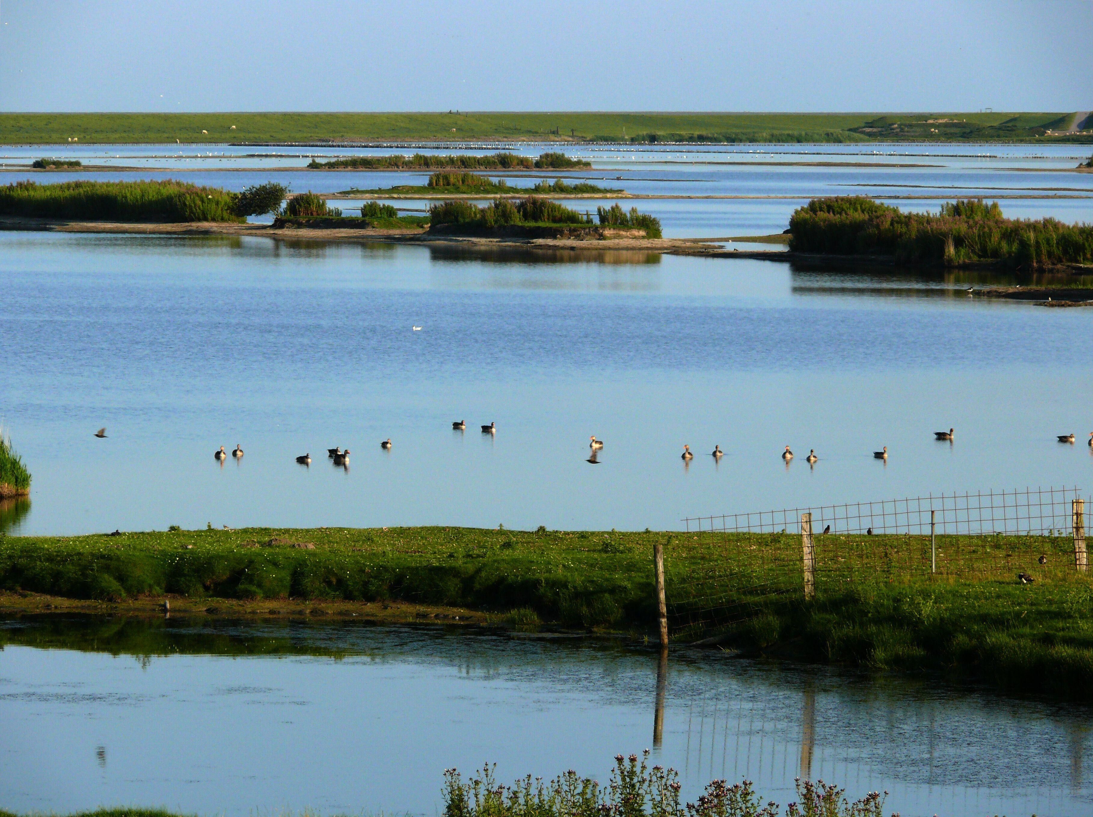 Haus Halligblick, Holiday apartment Hamburger Hallig