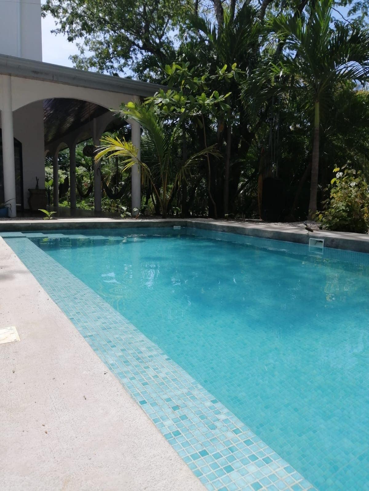 Casa Alice Surf Lodge