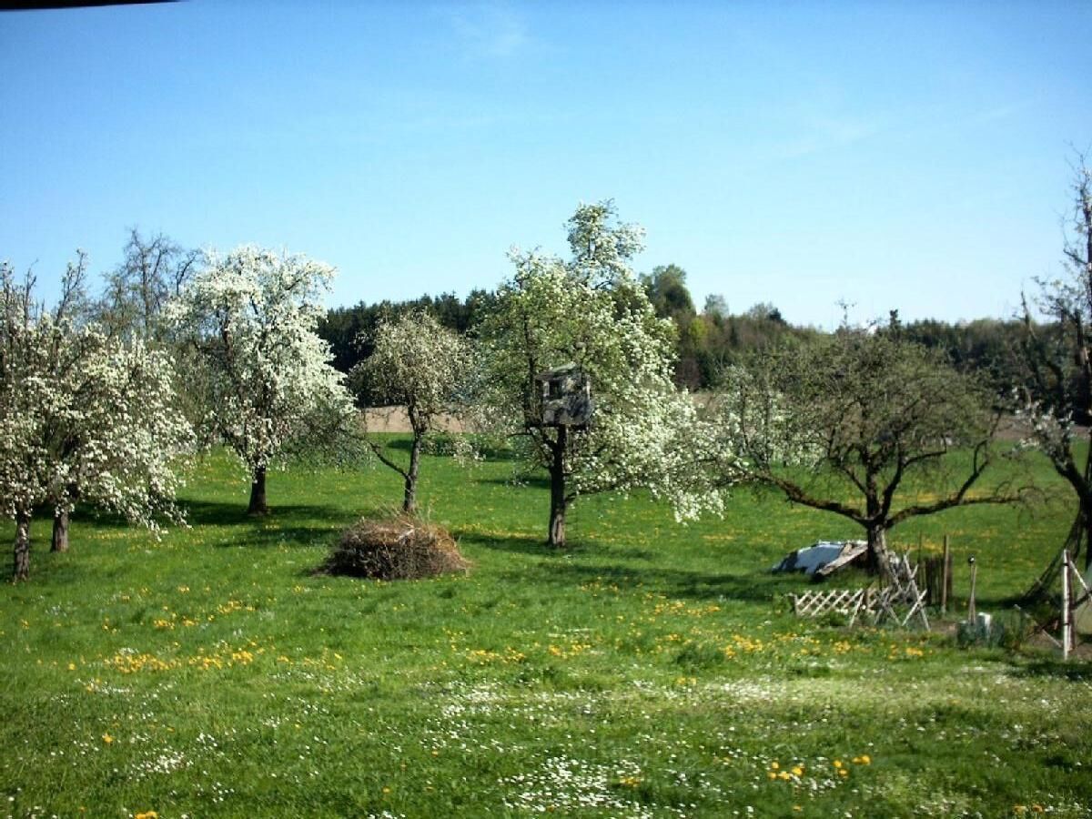 Quiet and idyllic location