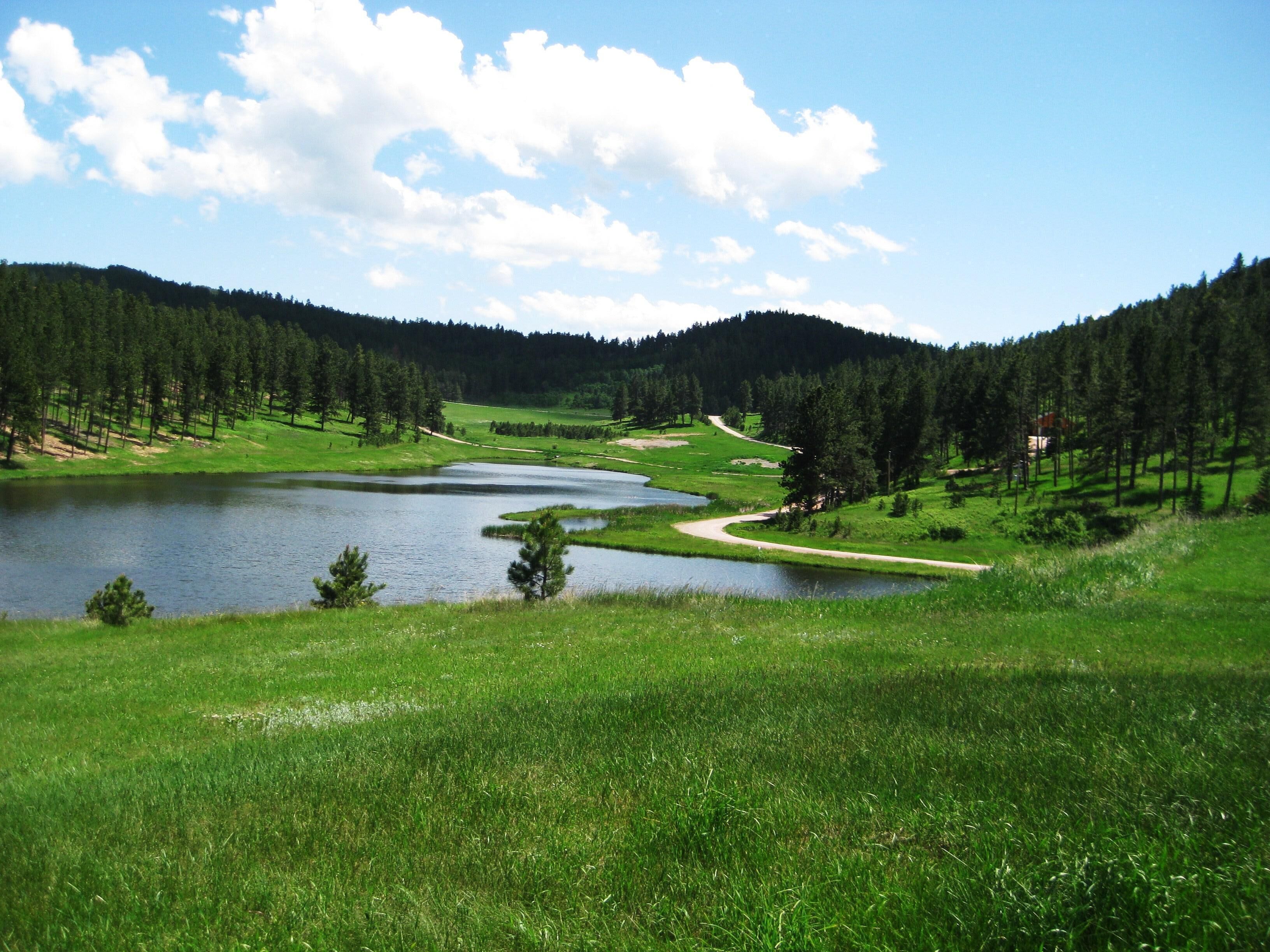 Best Of The Black Hills Lake Side Property—Fun, Relaxation, And Excitement