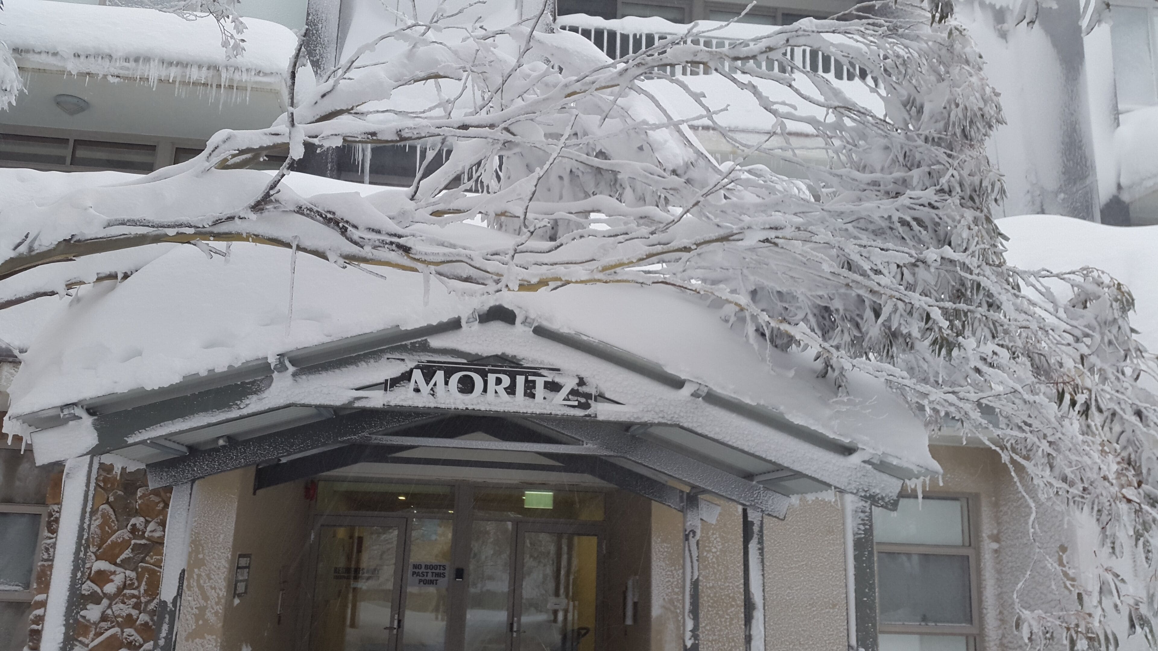 Alpine Bliss at Moritz (Hotham) -  2 under cover parks