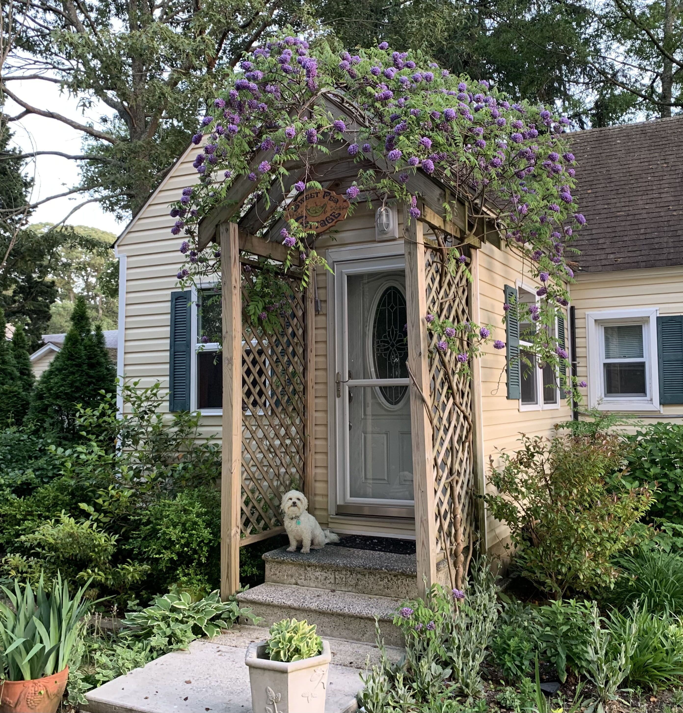 Dog Friendly, Cozy Cottage, 1st Floor Apt for 2; A Fine Art and Garden Retreat! 