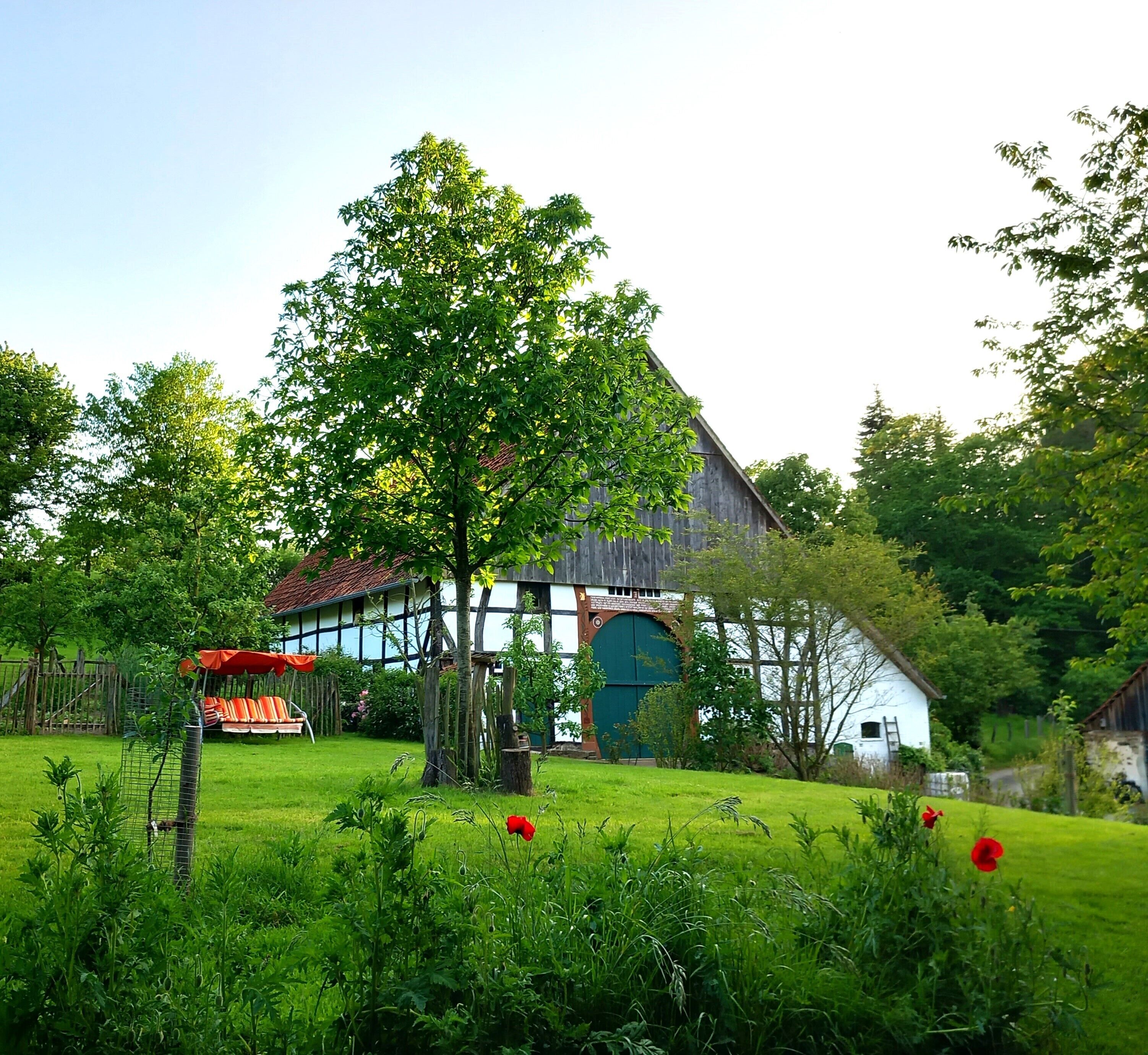 Quiet and idyllic half-timbered holiday home in the middle of nature