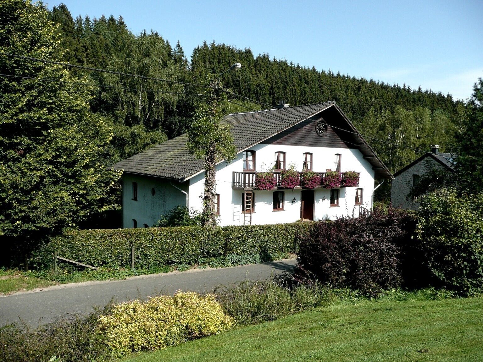 In a country house,  park, rural, in the mountains, idyllic loc., pets consid.