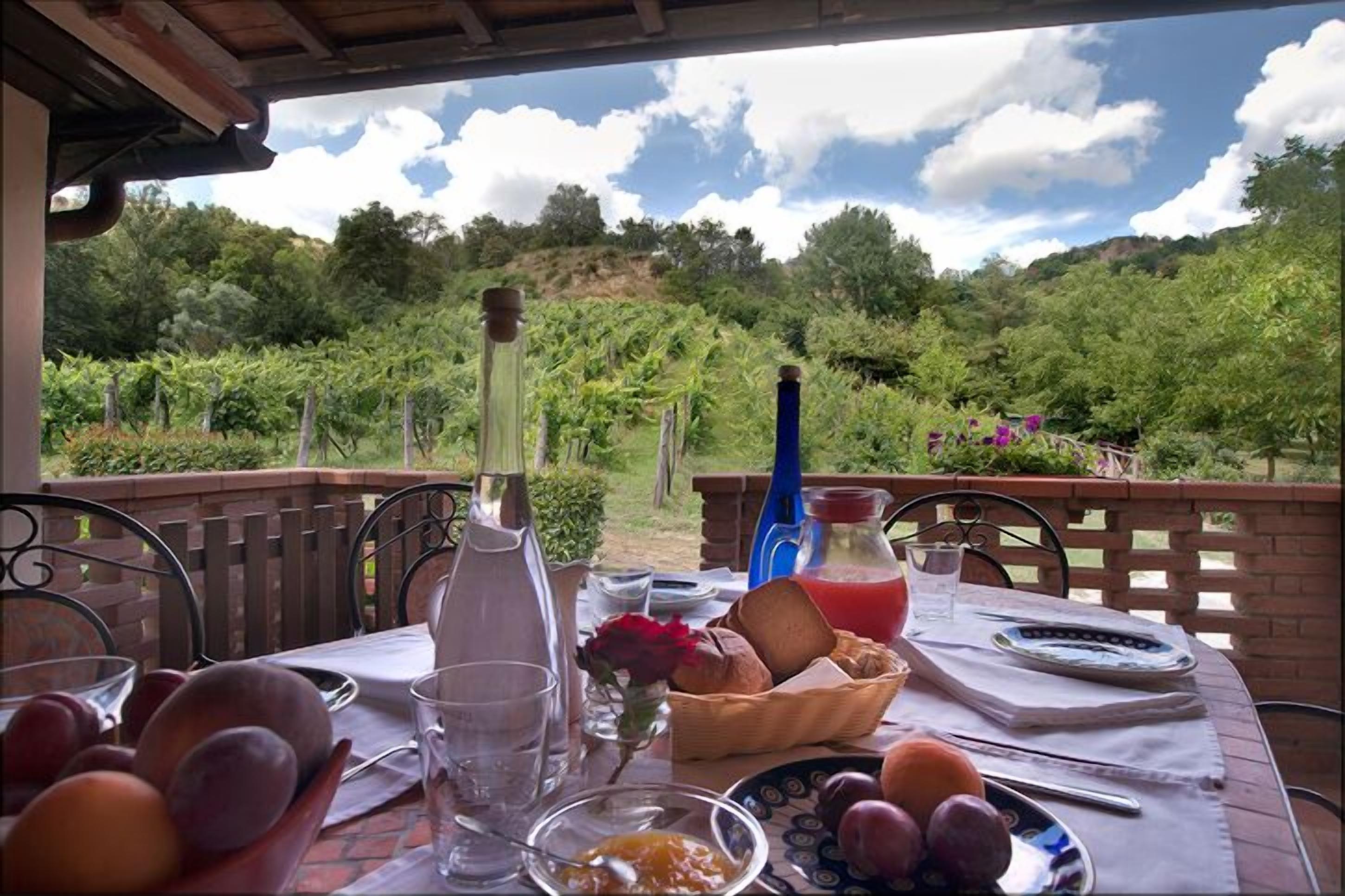 Apt in Farmhouse in Chianti, Tuscany, close to Florence