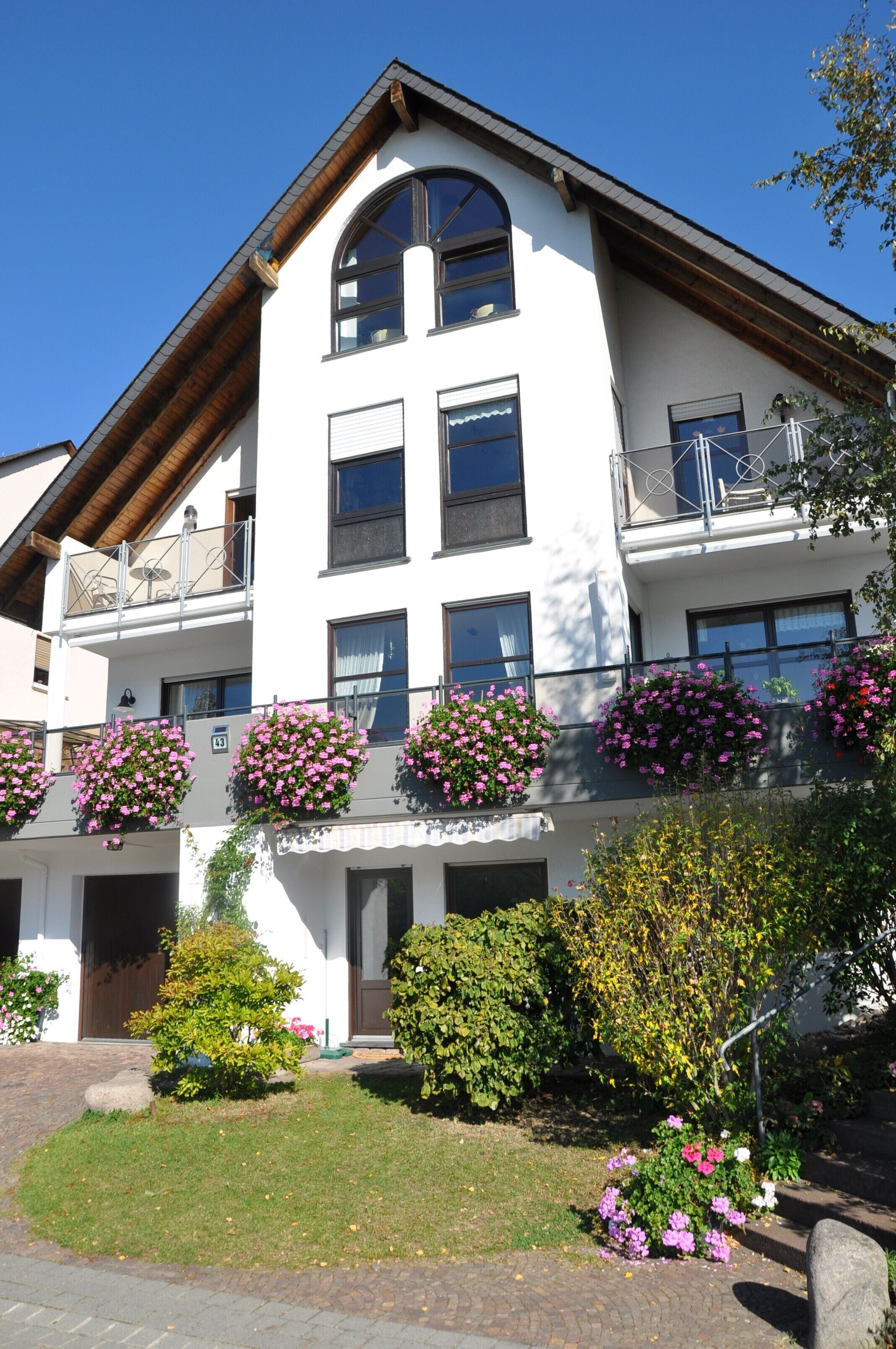 Comfortable apartment in the vineyards with a wonderful view of the Rhine and castles