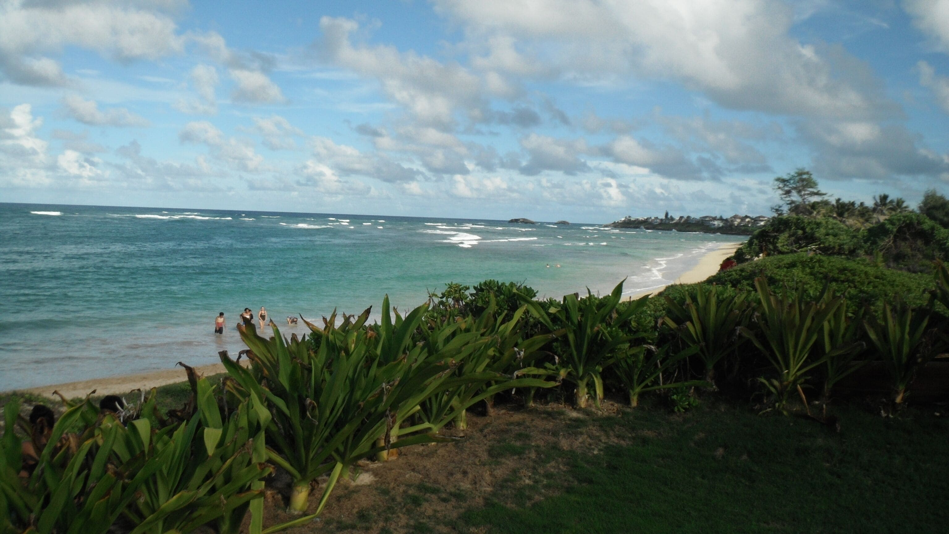 Beautiful 2 Bedroom Hukilau Beach Apt.