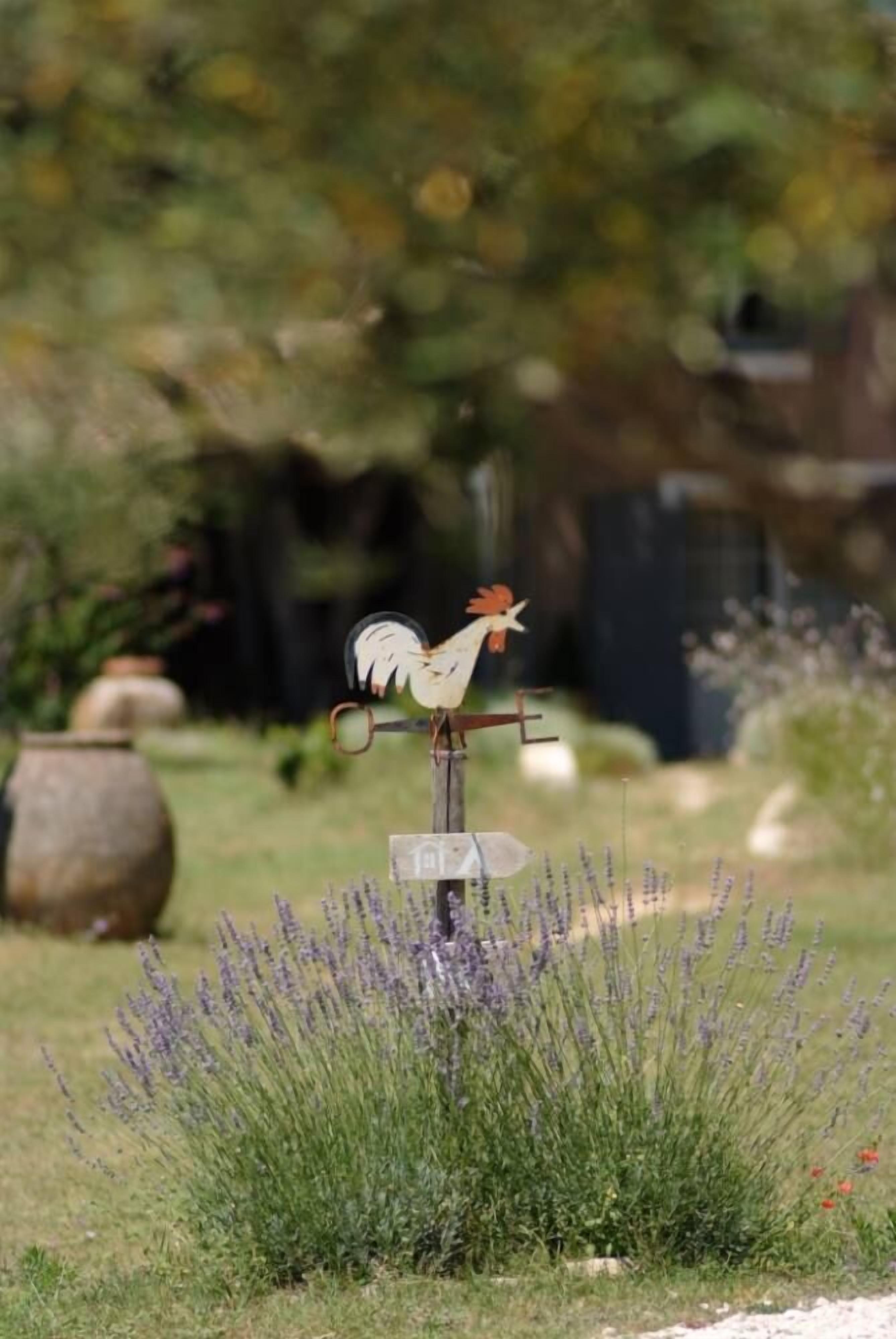 TENTE LODGE SAFARI