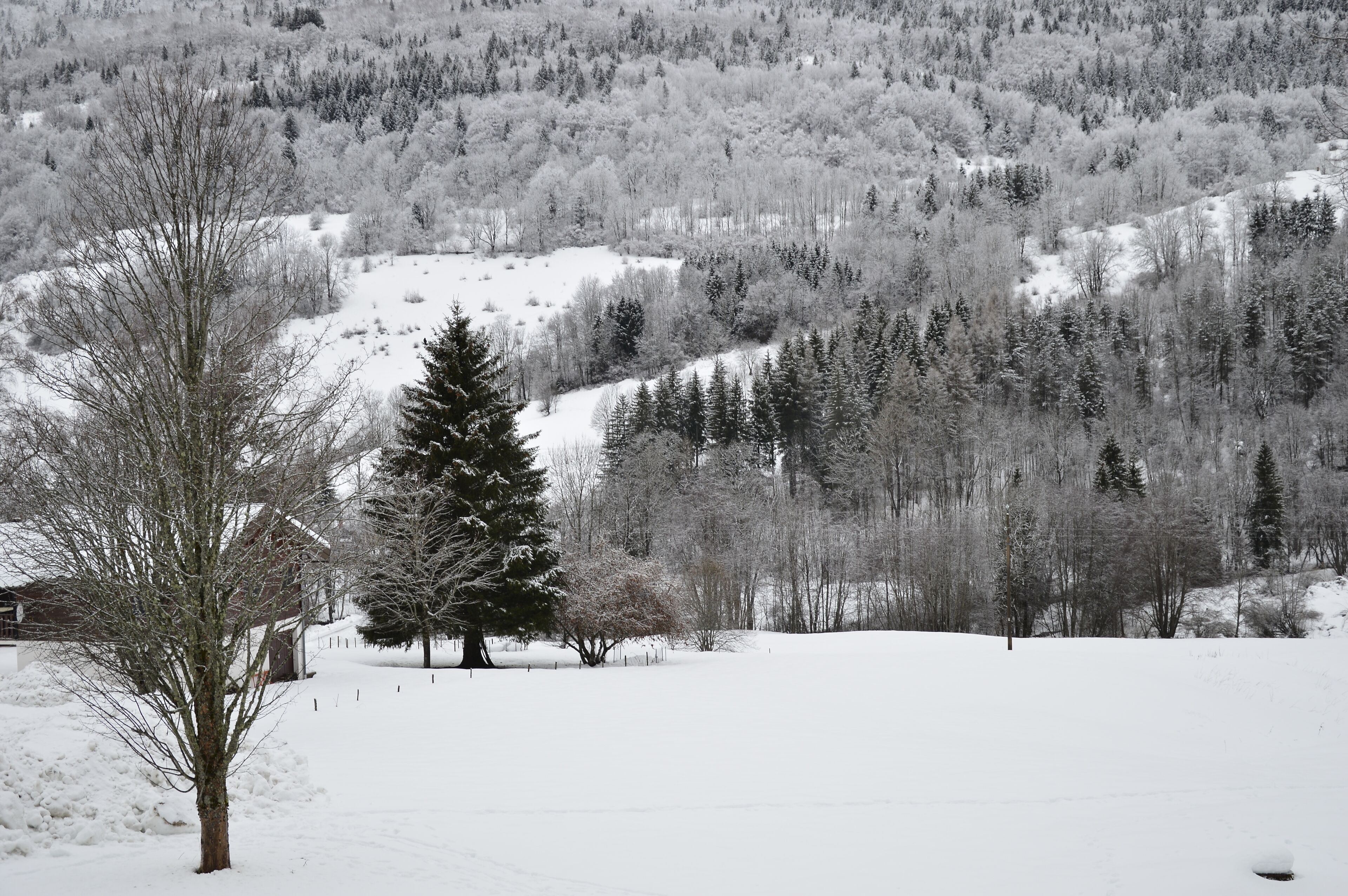 Comfortable apartment (75m2 - 2 bedrooms) at the foot of the slopes - 40kms from Geneva 
