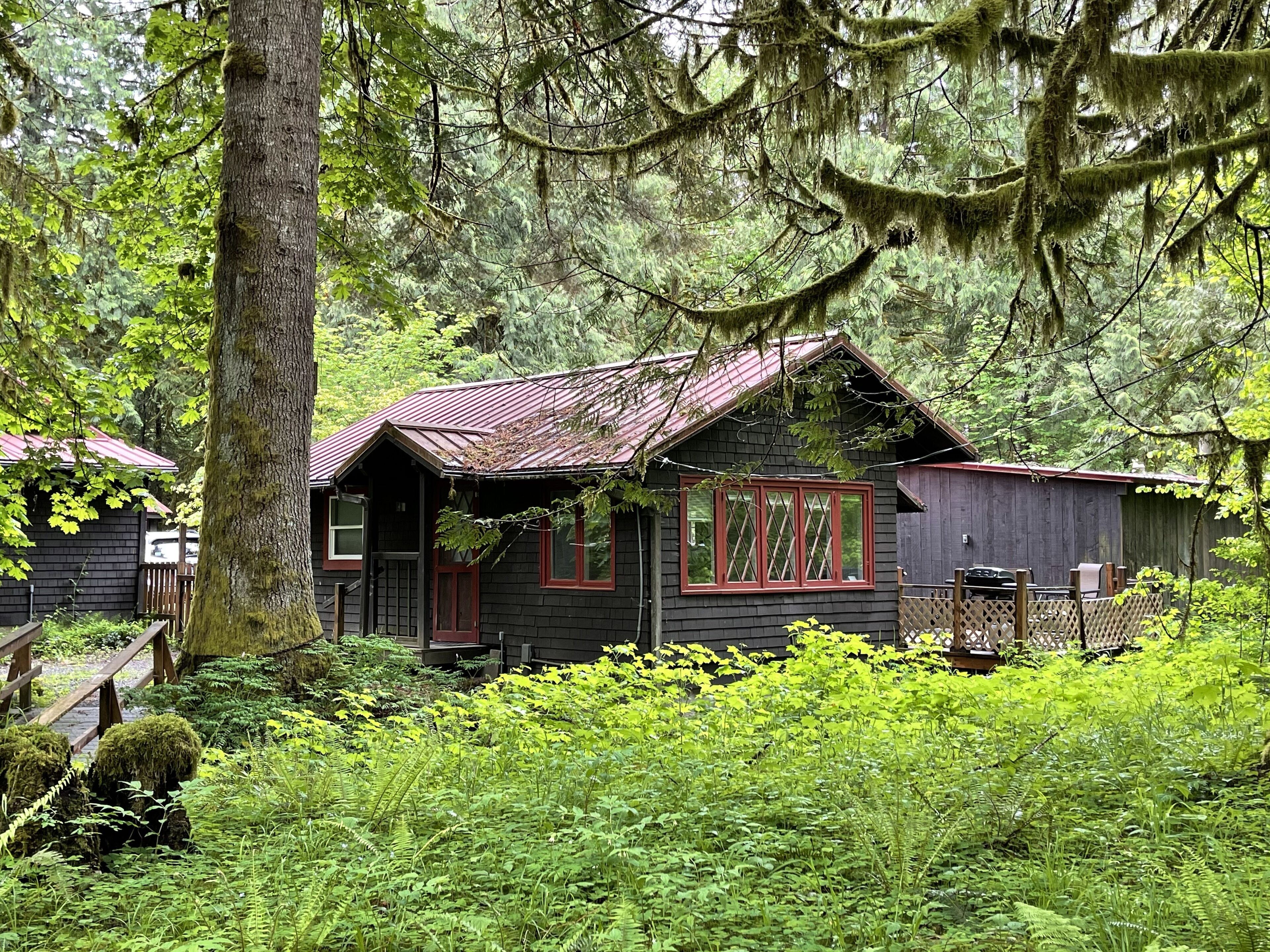 Quiet, Cozy Cottage in the Woods with Large Outdoor Area