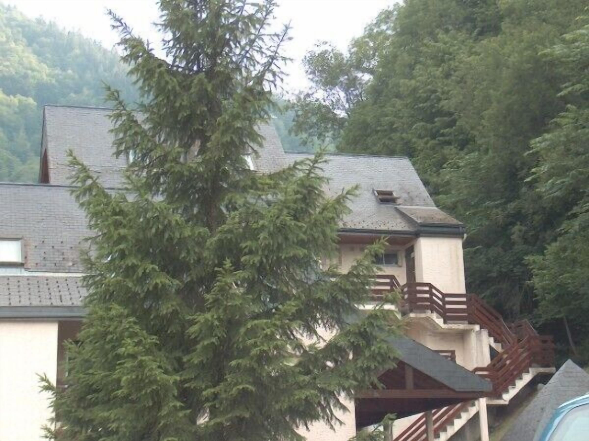 apartment 4/5 people at all seasons: wellness, skiing, hiking