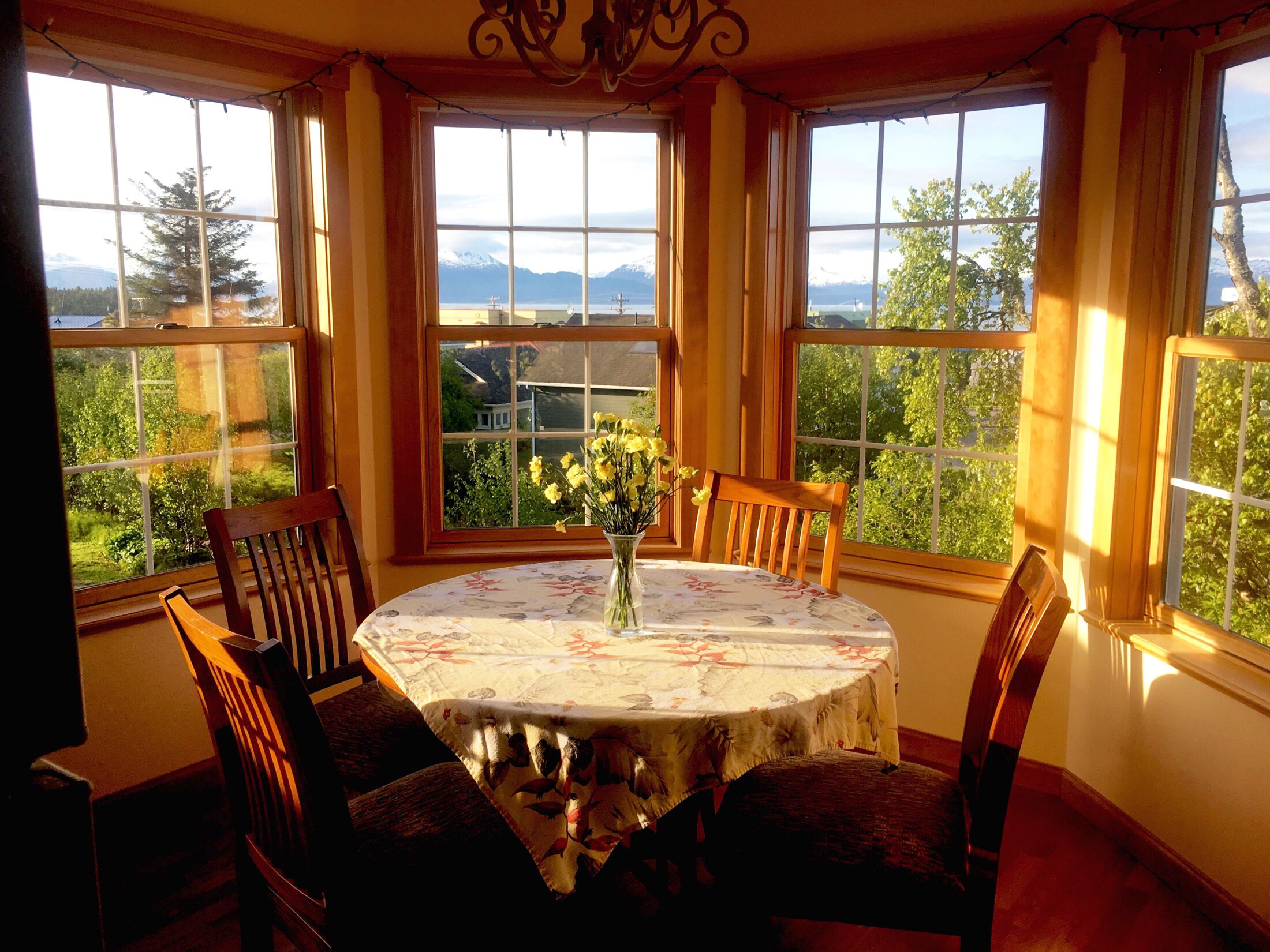  Ocean View Suite Homer Alaska Cafe/Bookshop/Beach