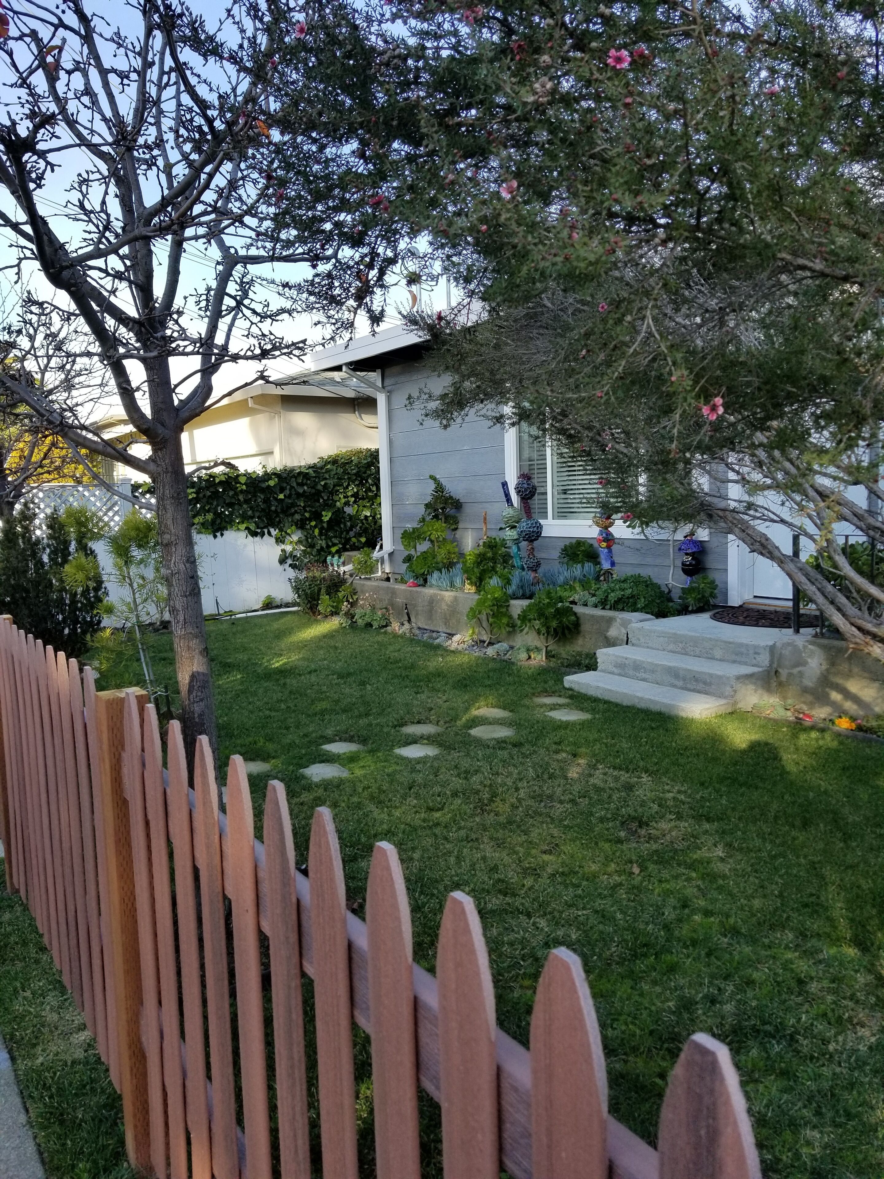 Beautiful  1BR Apartment  w/Wifi –   Only 20 Minutes from San Francisco