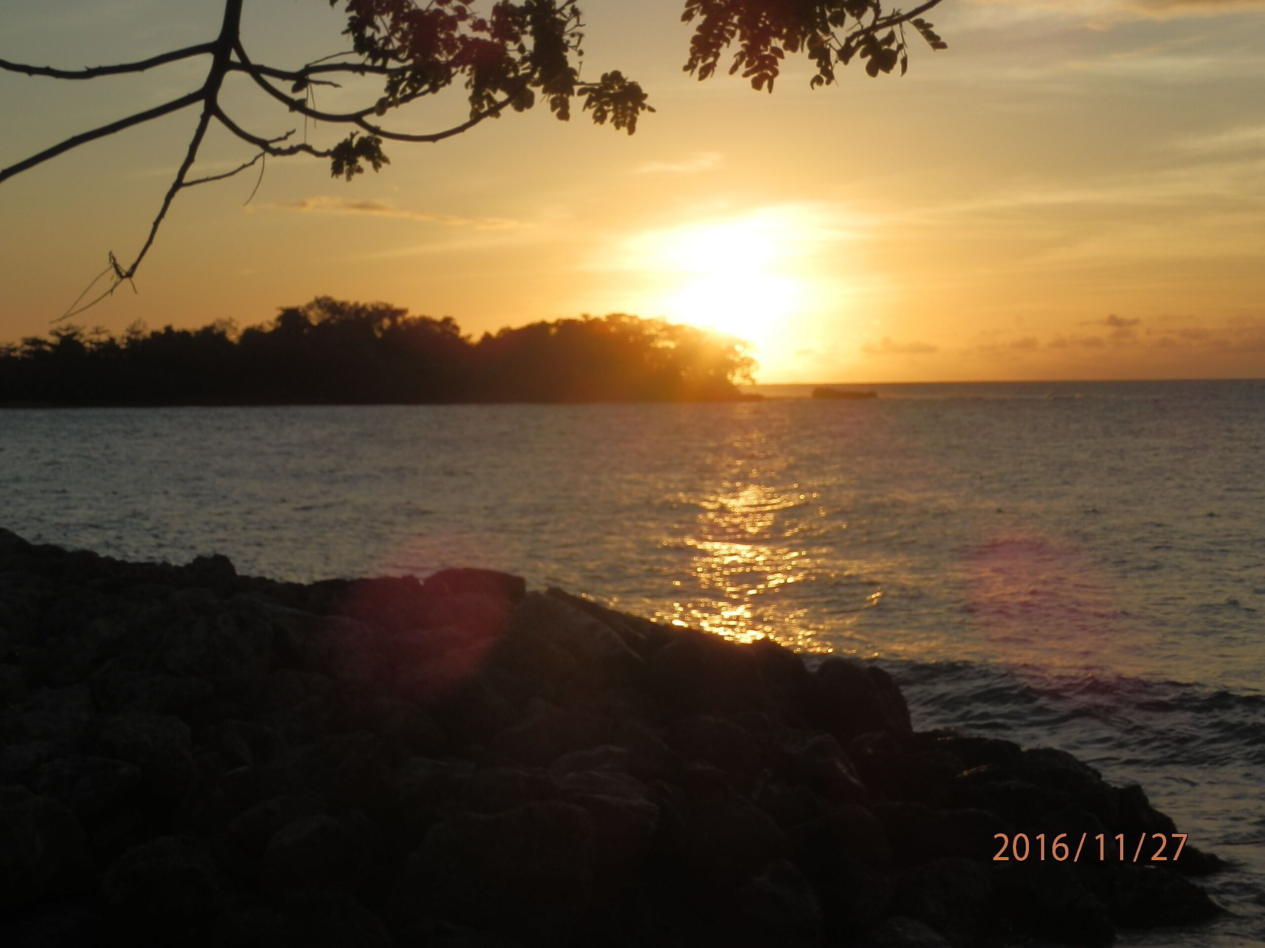 Caribbean Beach Paradise/ Jamaica By the Sea