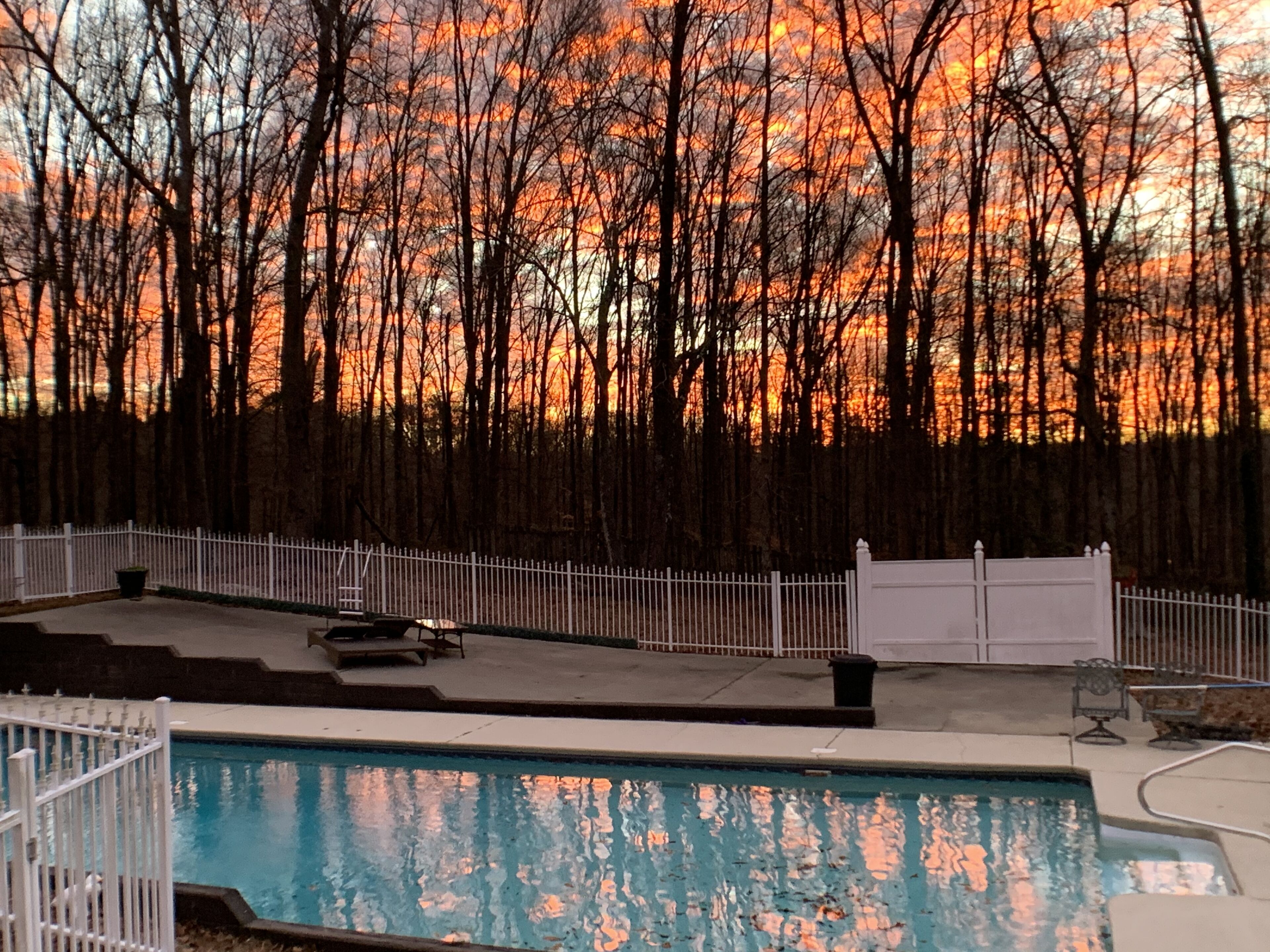 Quiet, scenic farm with private Pool! Minutes from Greer and Greenville, SC.