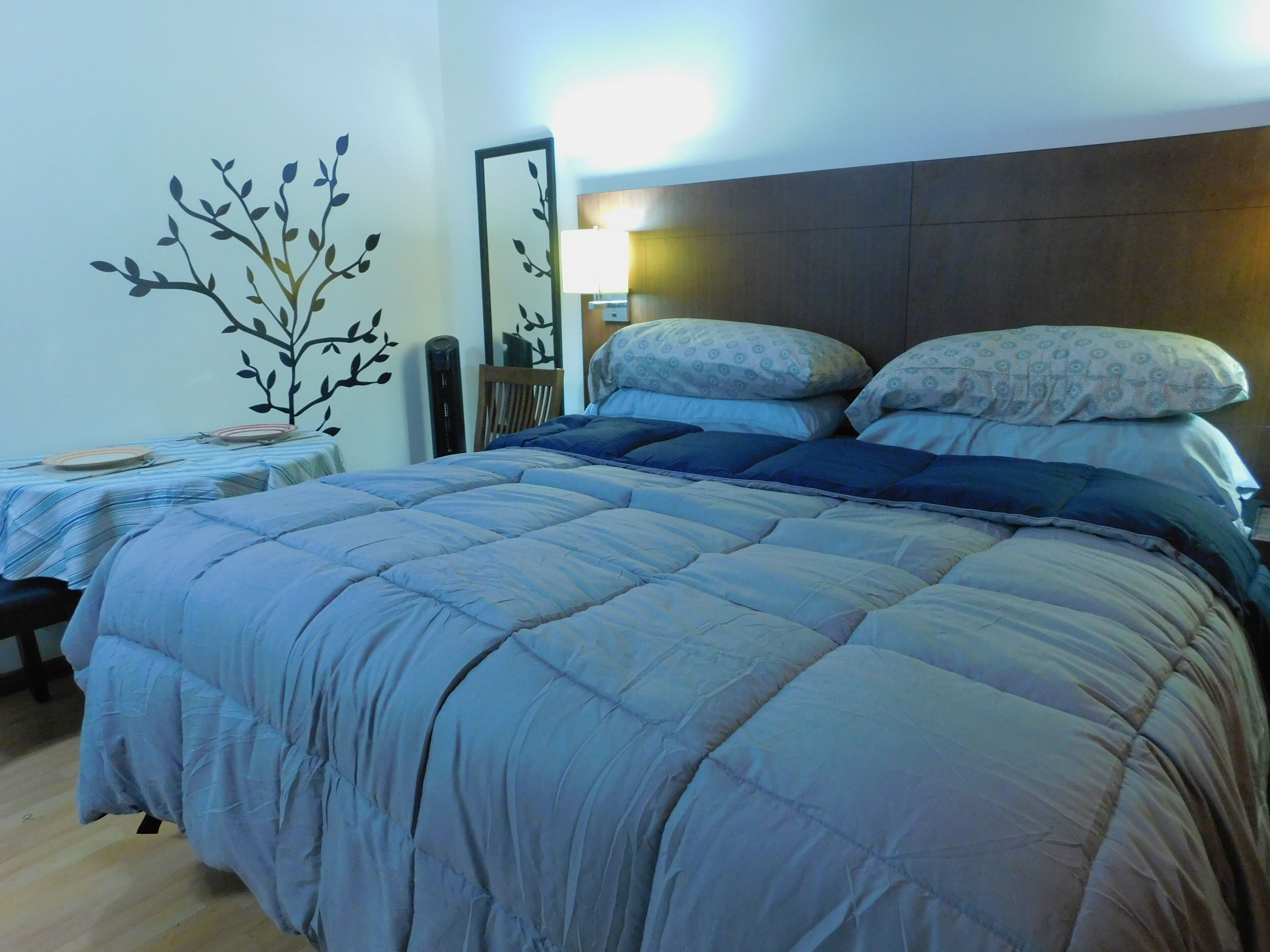 Modern Studio Apt King Bed Safe Area 10 min from airport