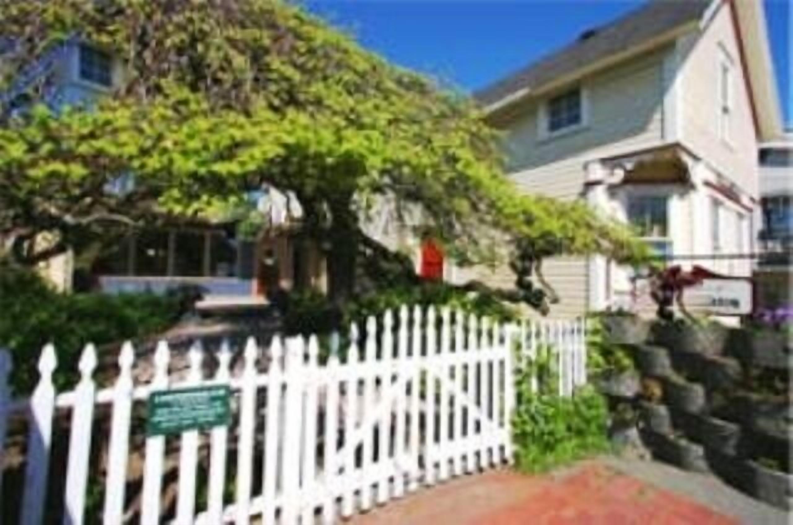 Treehouse Suite - Downtown - Walking Distance to Ferry, Stores, Restaurants! 