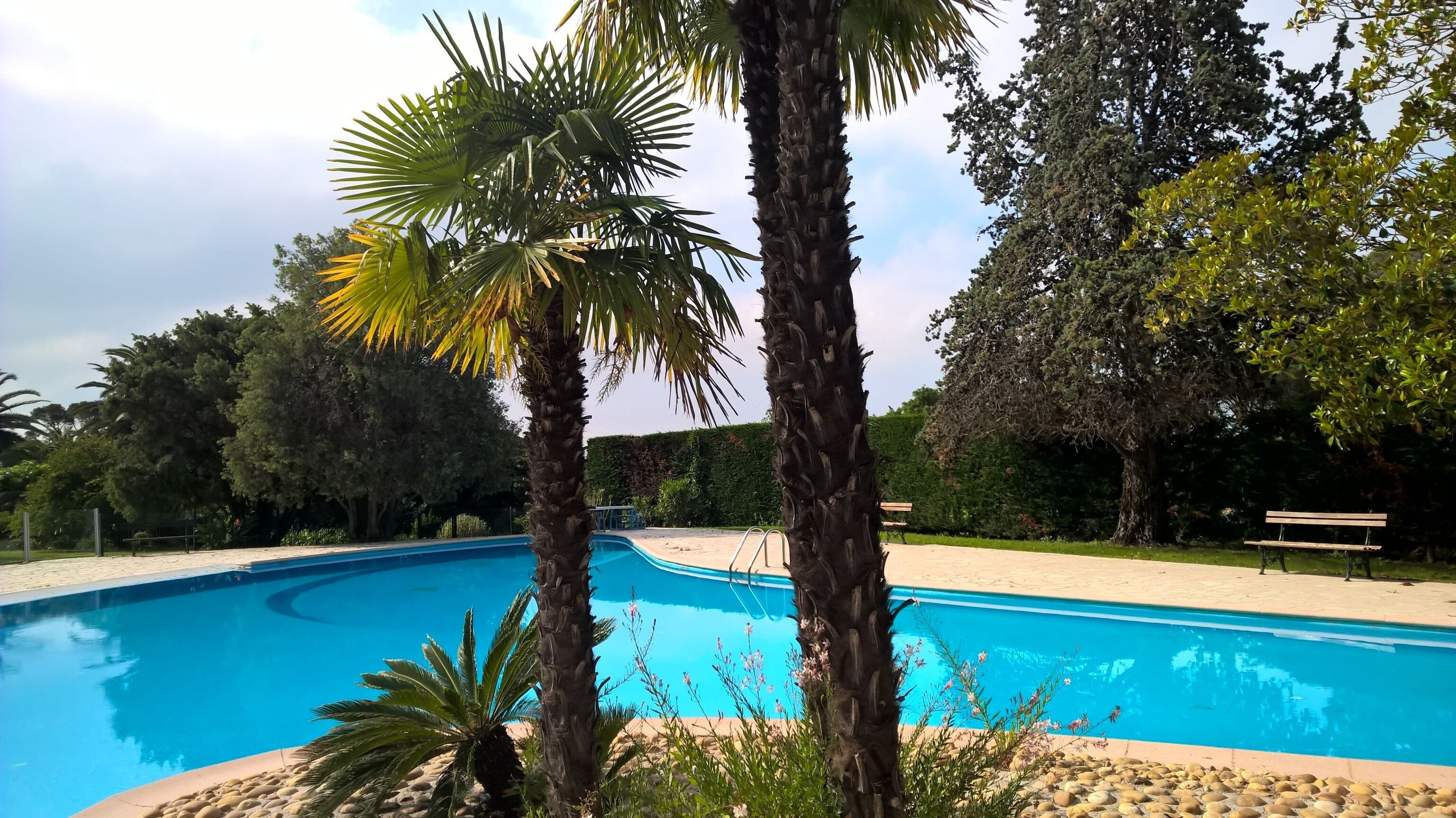 Charming apartment, rustic setting,  spectacular pool 