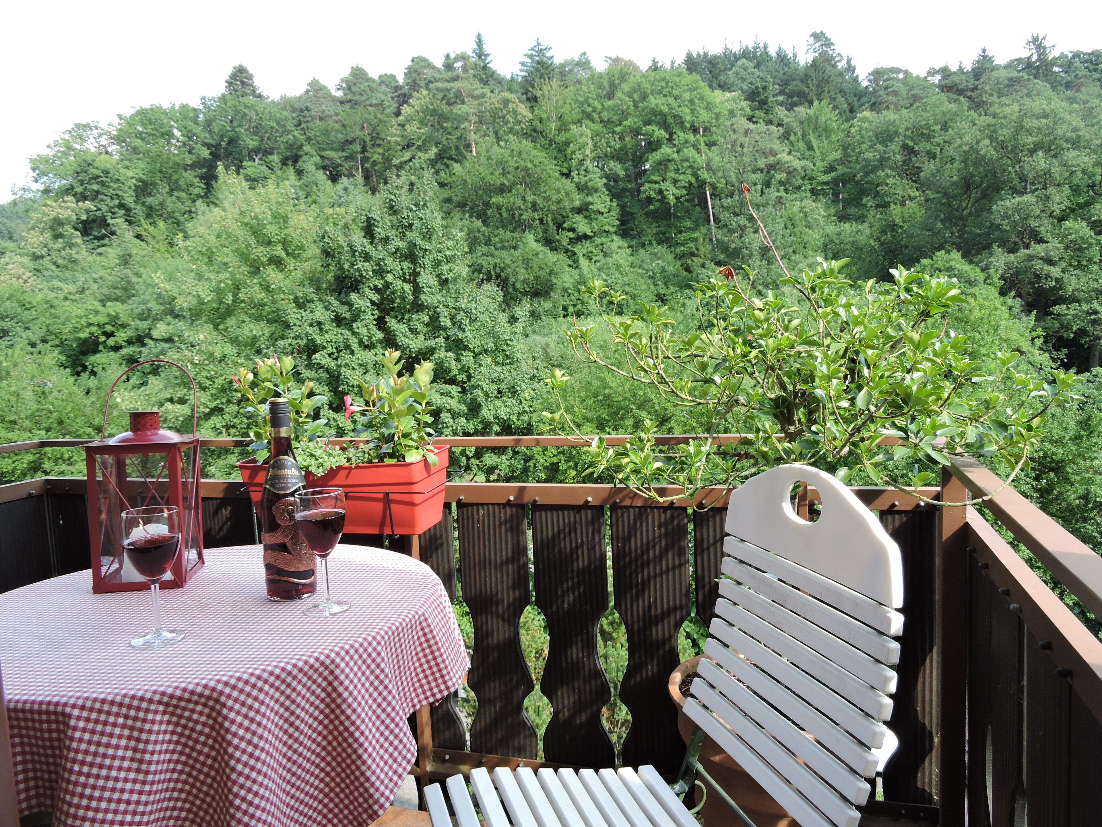 Elegant 2-room appartment in Baden Baden nestled in the surrounding lushhills