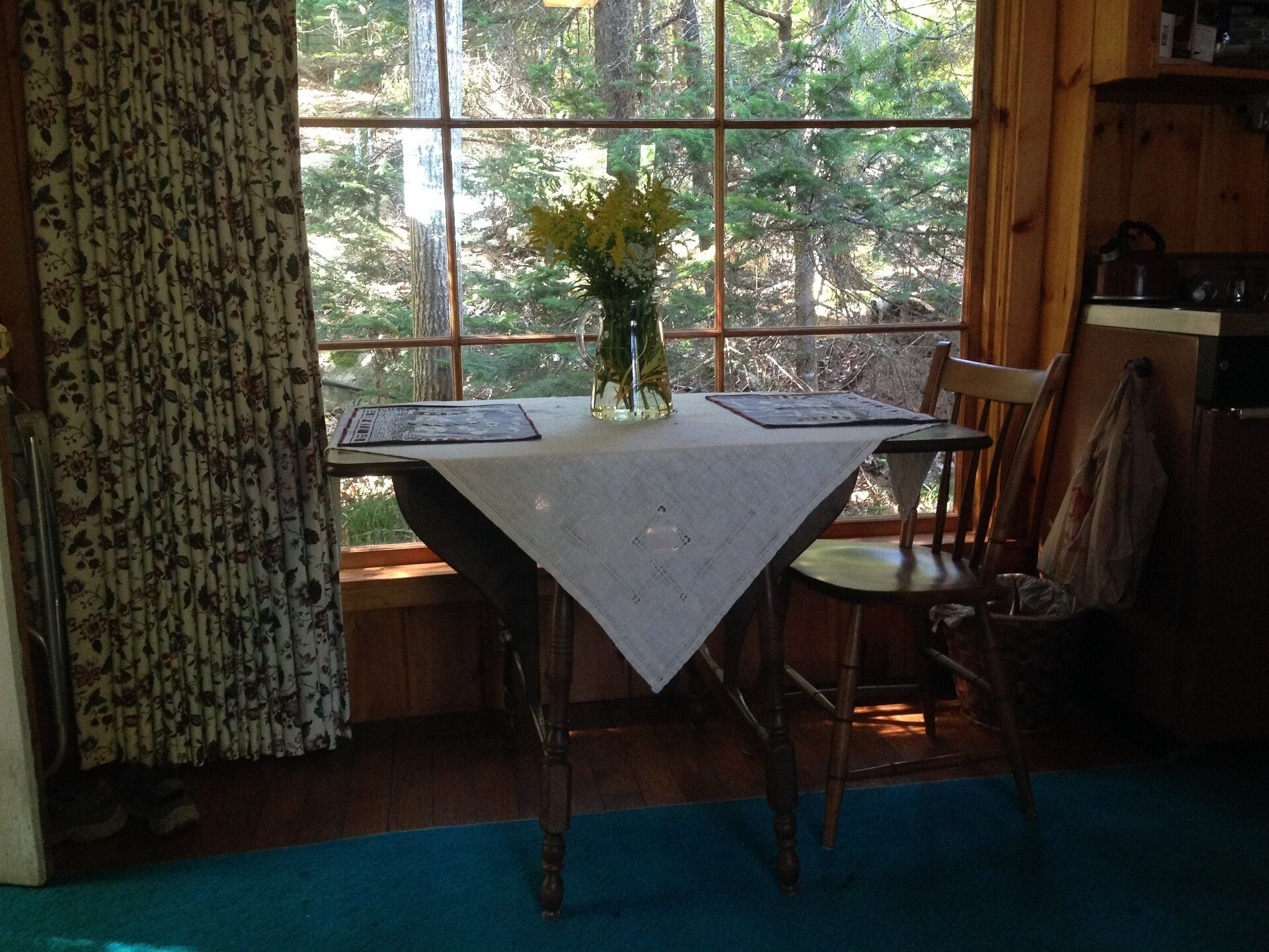 ~ Cozy Cabin in the woods On Penobscot Bay Right Near the water ~