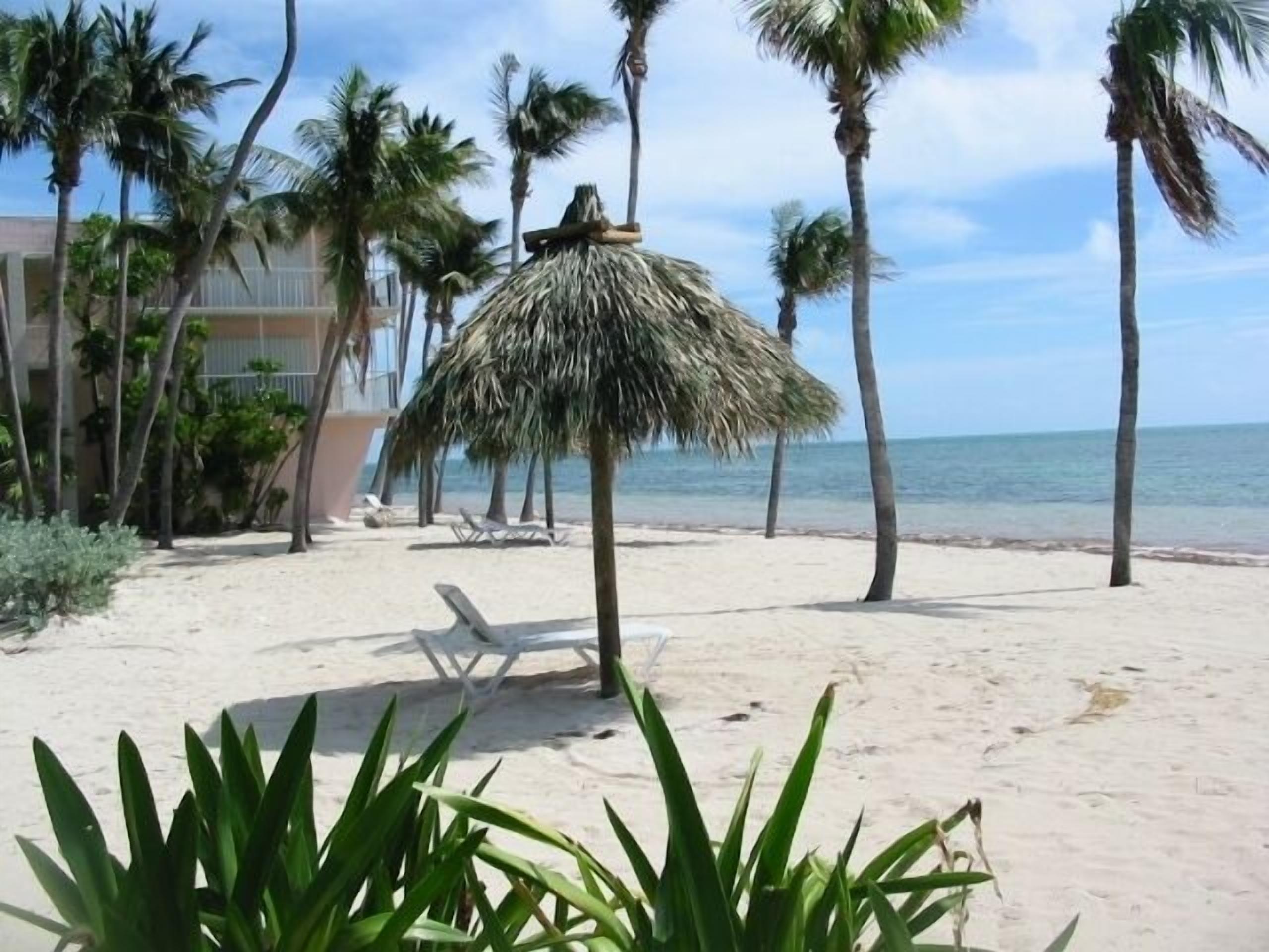 REDUCED! PARADISE! PVT OCEAN BCH. Slps 6. 2 bth, Dock fishing, Tikis, htd pool  