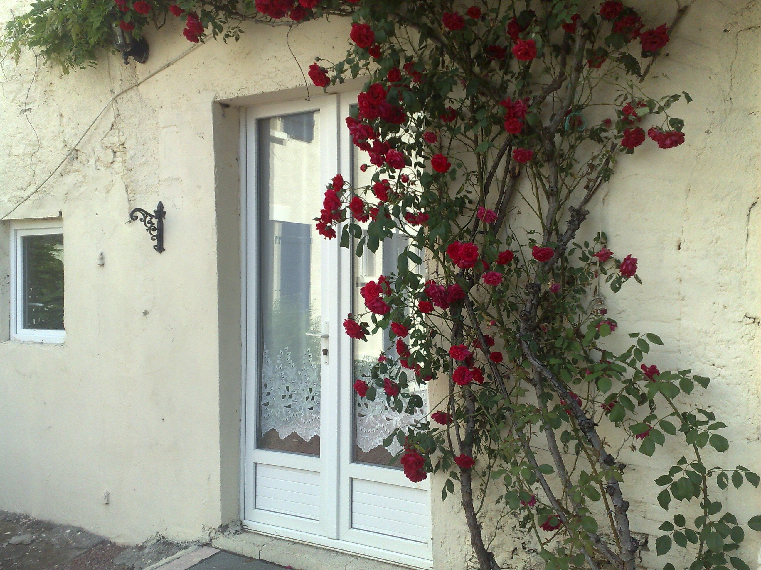 Petit Cerisier (1 Bedroom - sleeps 4)