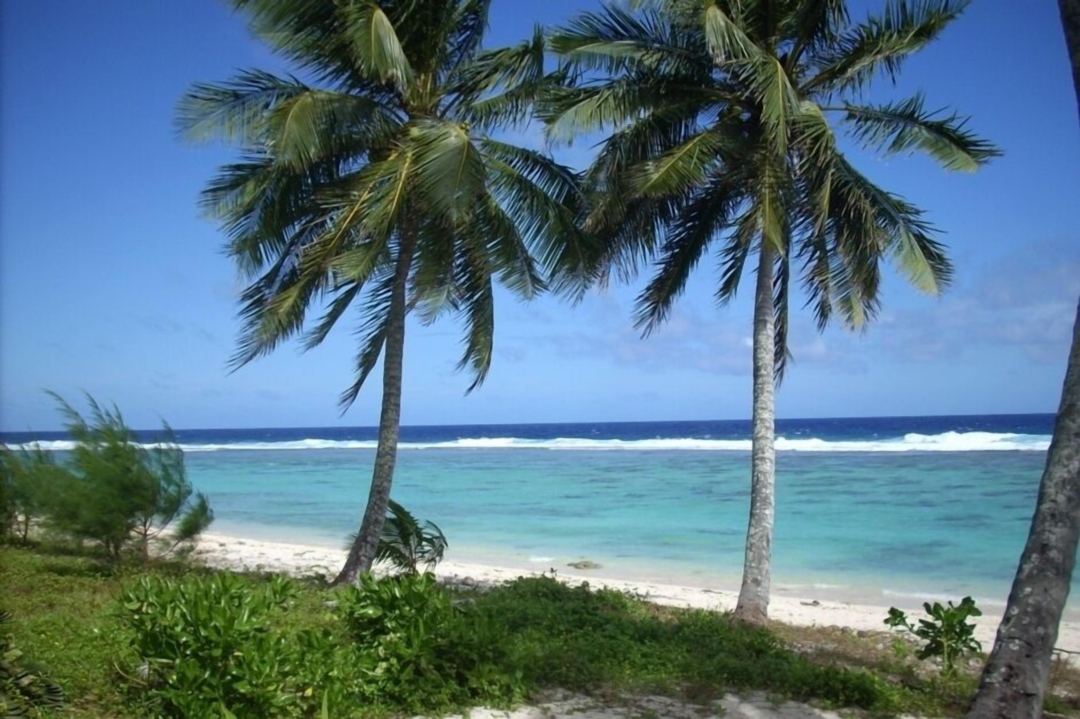 Rarotonga The Tree House 1 or 2 bedrooms flats