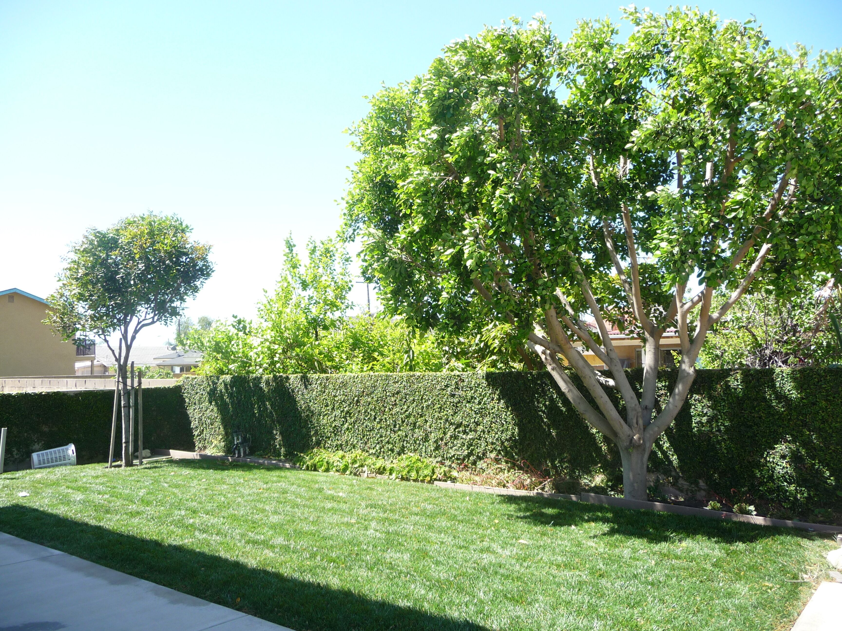 Mountain View (3 bedrooms/2 baths back house) DisneyLand