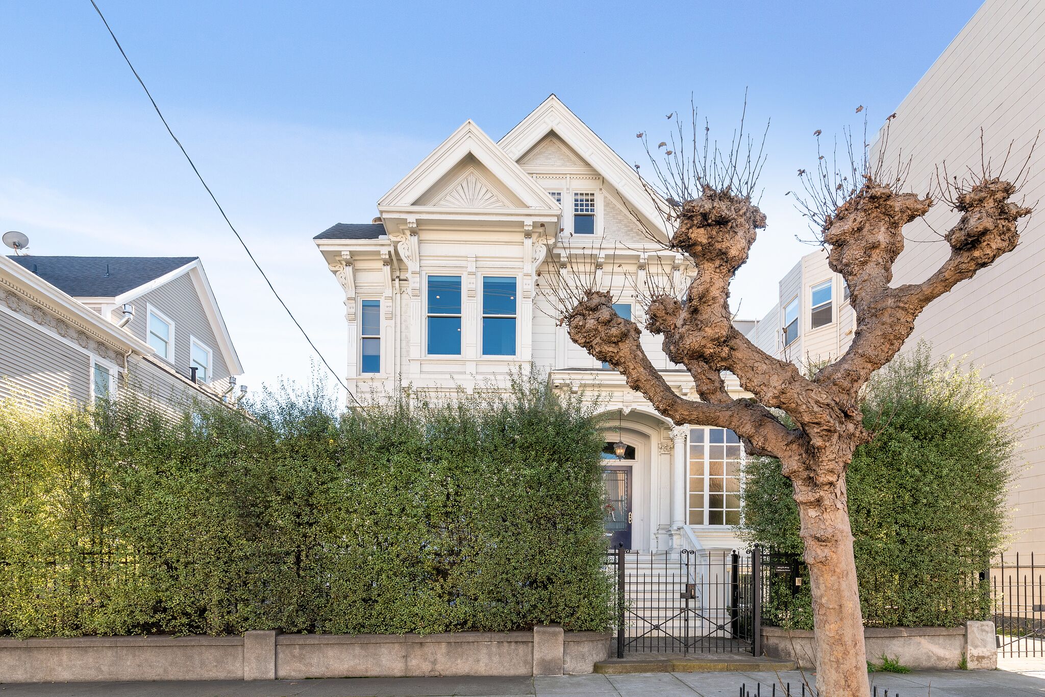 Charming Garden Unit In Beautiful Pacific Heights.  Flat Walk To The City's Best