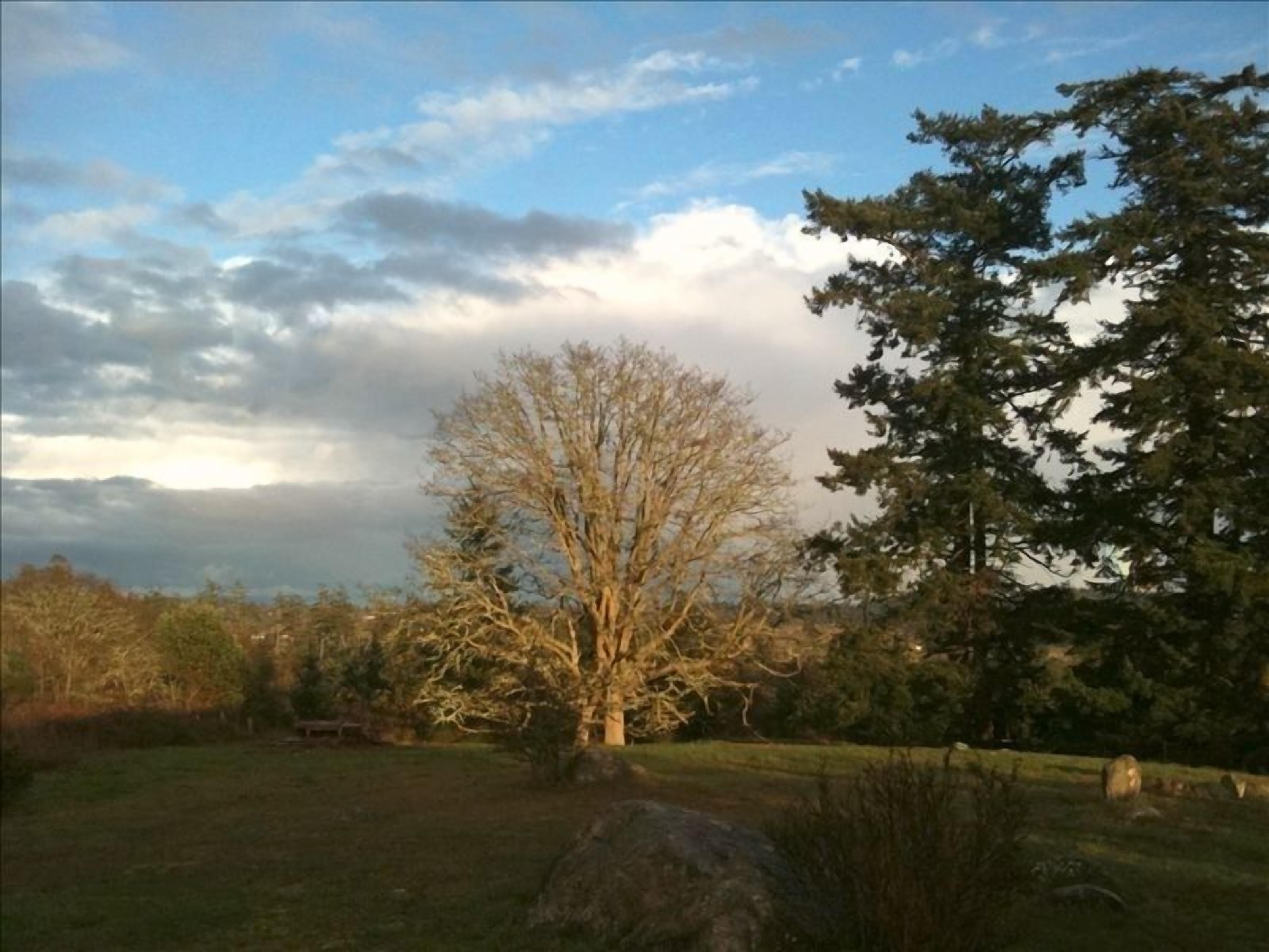 Hot tub with meadow view