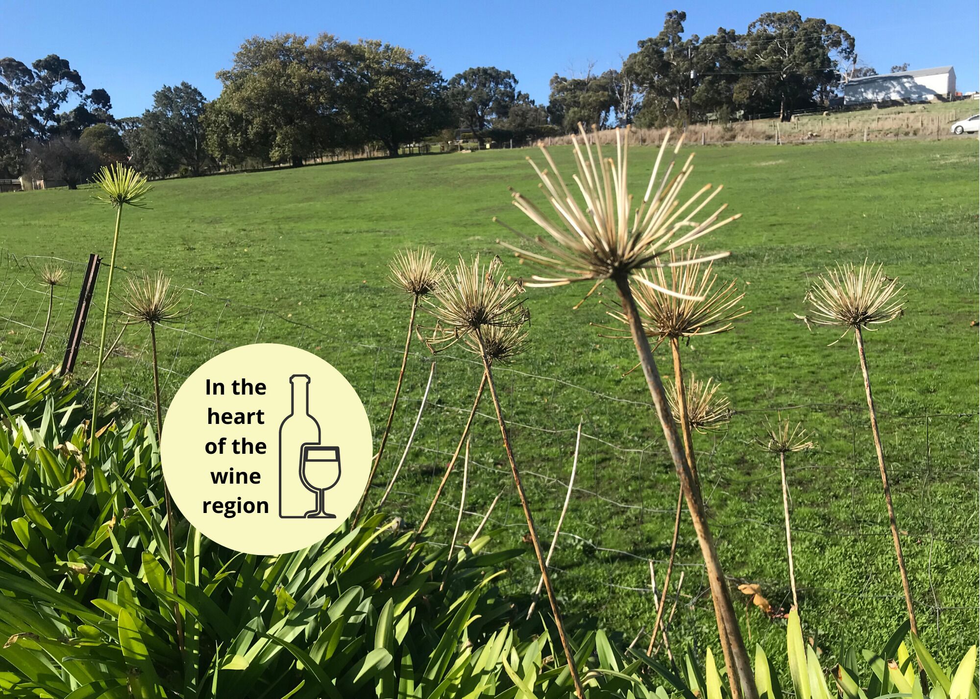 ADEL HILLS ESCAPE Clean•Cosy•Relax•Free Netflix