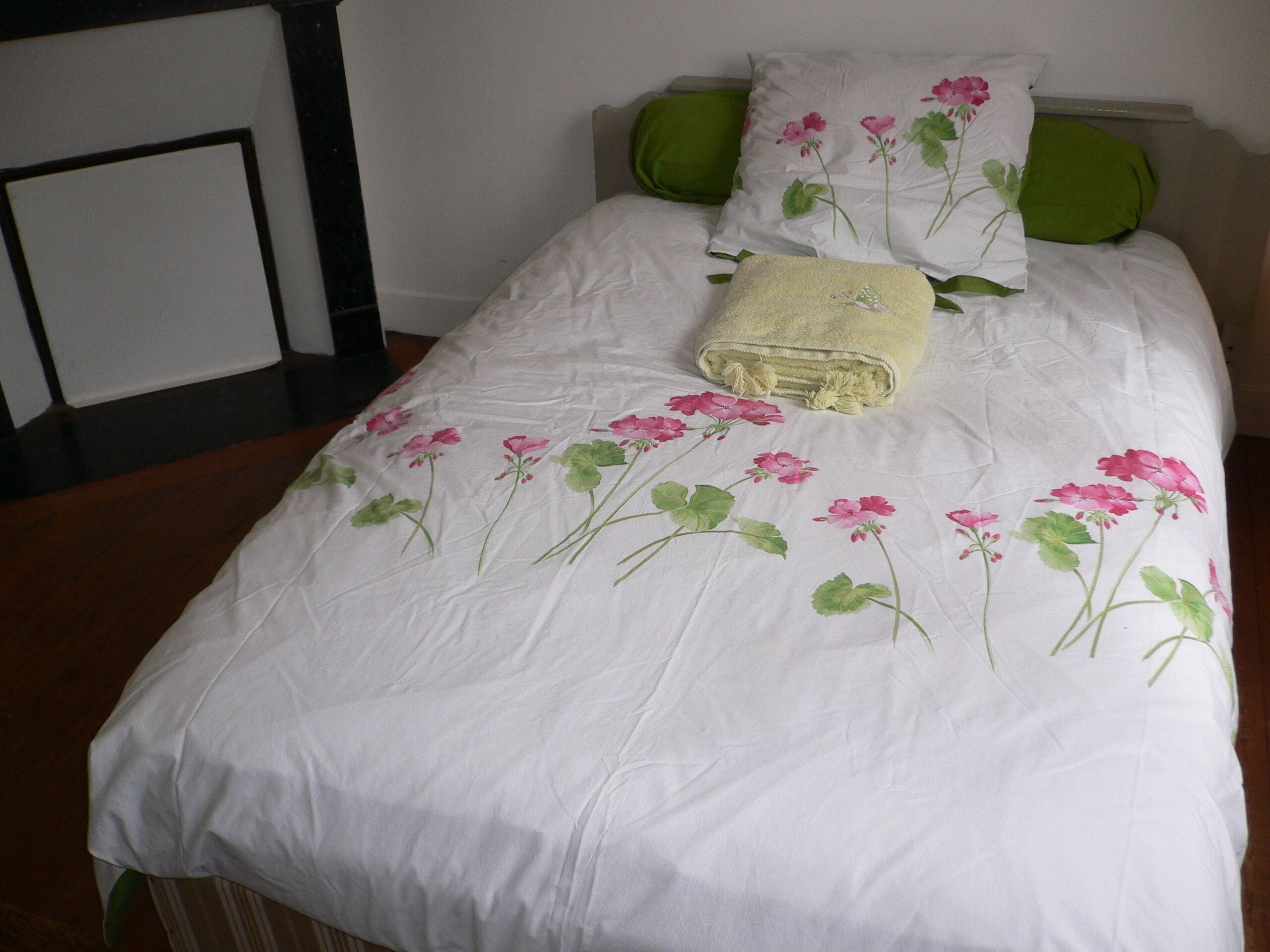 Large detached comfortable room