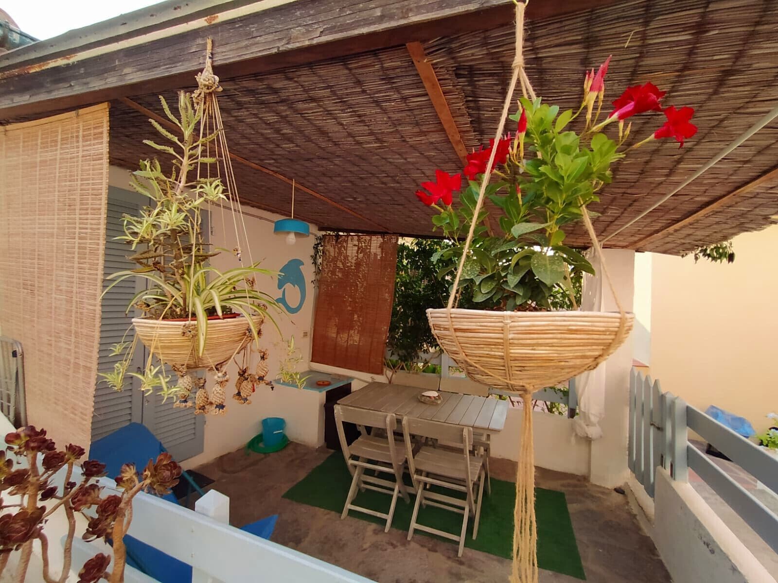 Cute little house a FEW METRES FROM THE SEA, Private patio, pet friendly - Elba