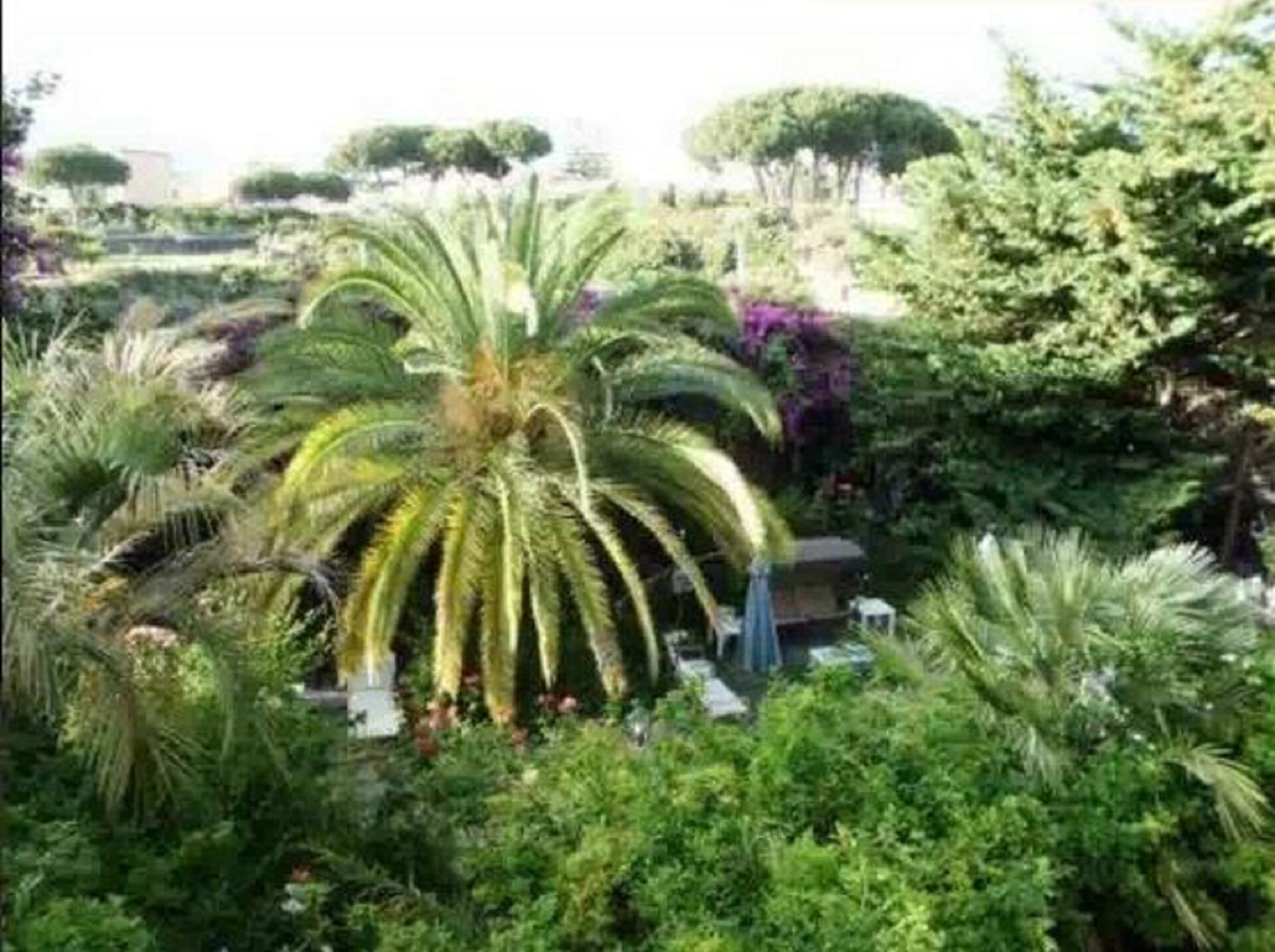 The garden of Villa Anna, Sorrento room with sea view