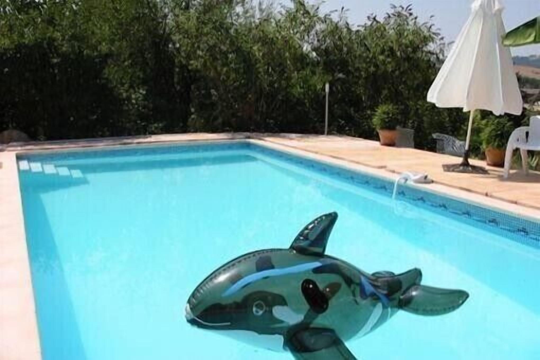 Lot / Cantal limit in wooded park charming apartment 4 people swimming pool.